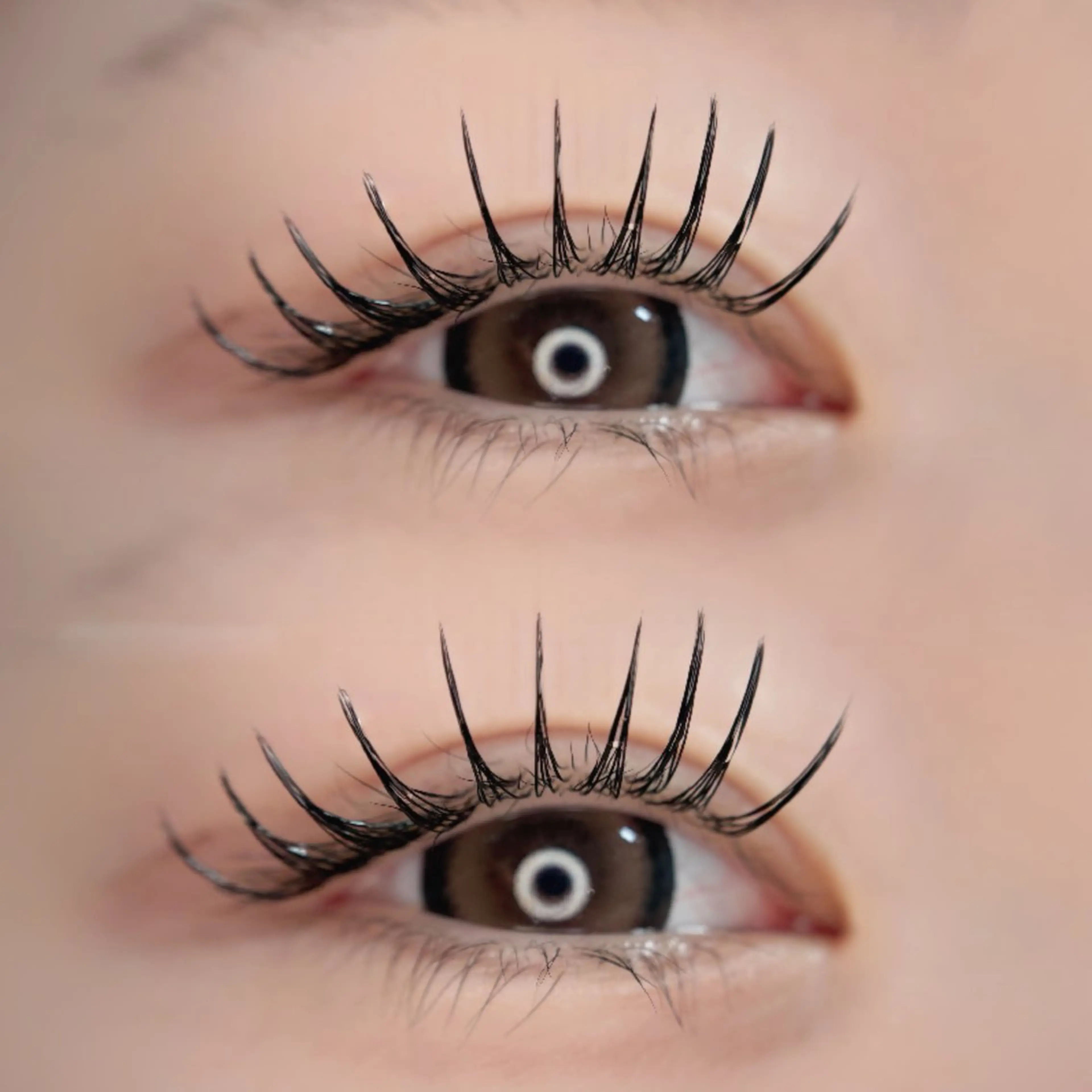 マツエク・マツパ フラットラッシュ 🦋MaaZlash 南流山FUKA🤍のマツエク・マツパデザイン