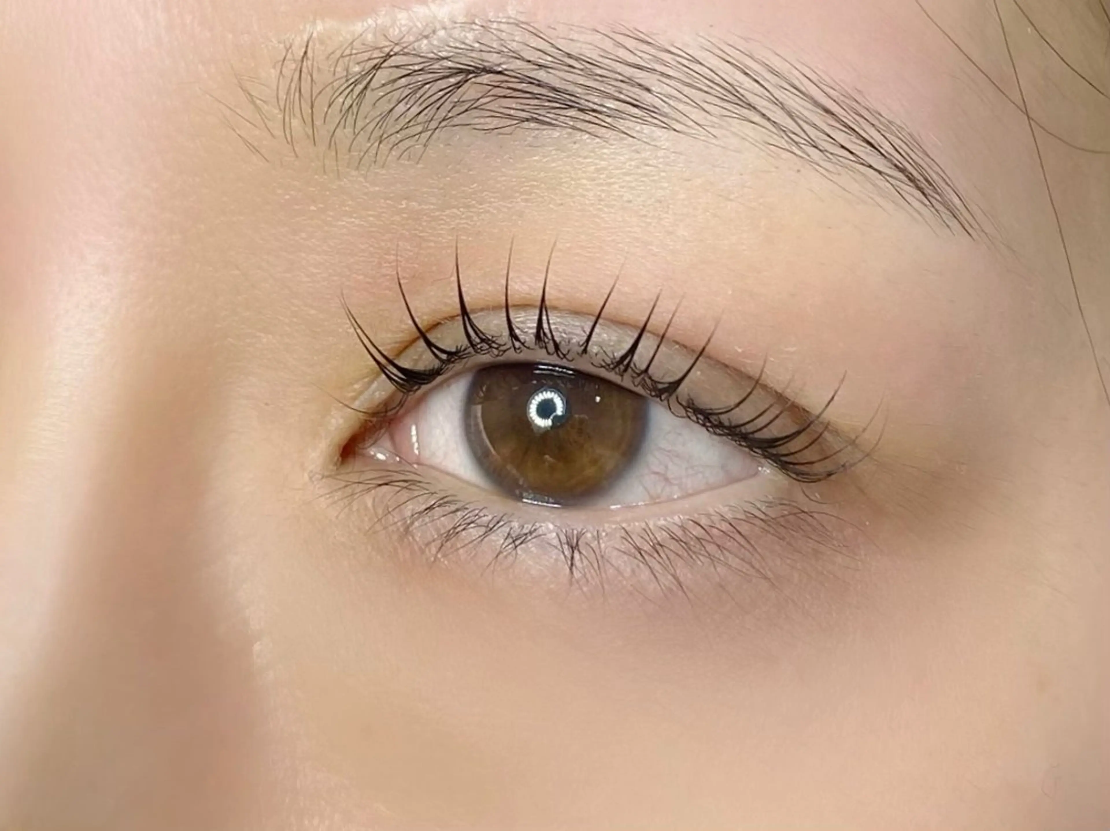 【ミニモ限定】〈高機能トリートメント付き〉まつ毛パーマ5500円(60分)の写真