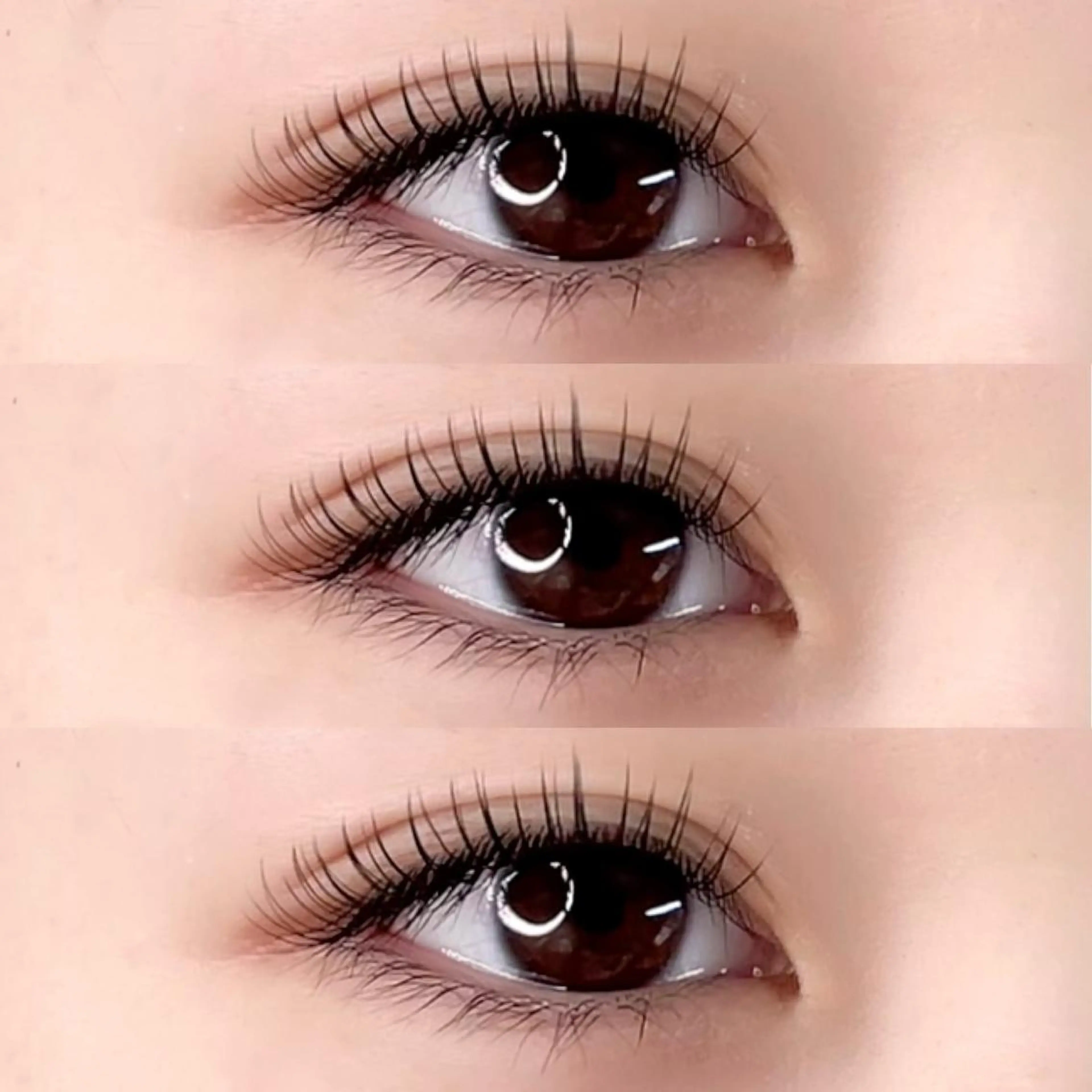 マツエク・マツパ Dカール フラットラッシュ lashes Franc所属・lashes Francのマツエク・マツパデザイン