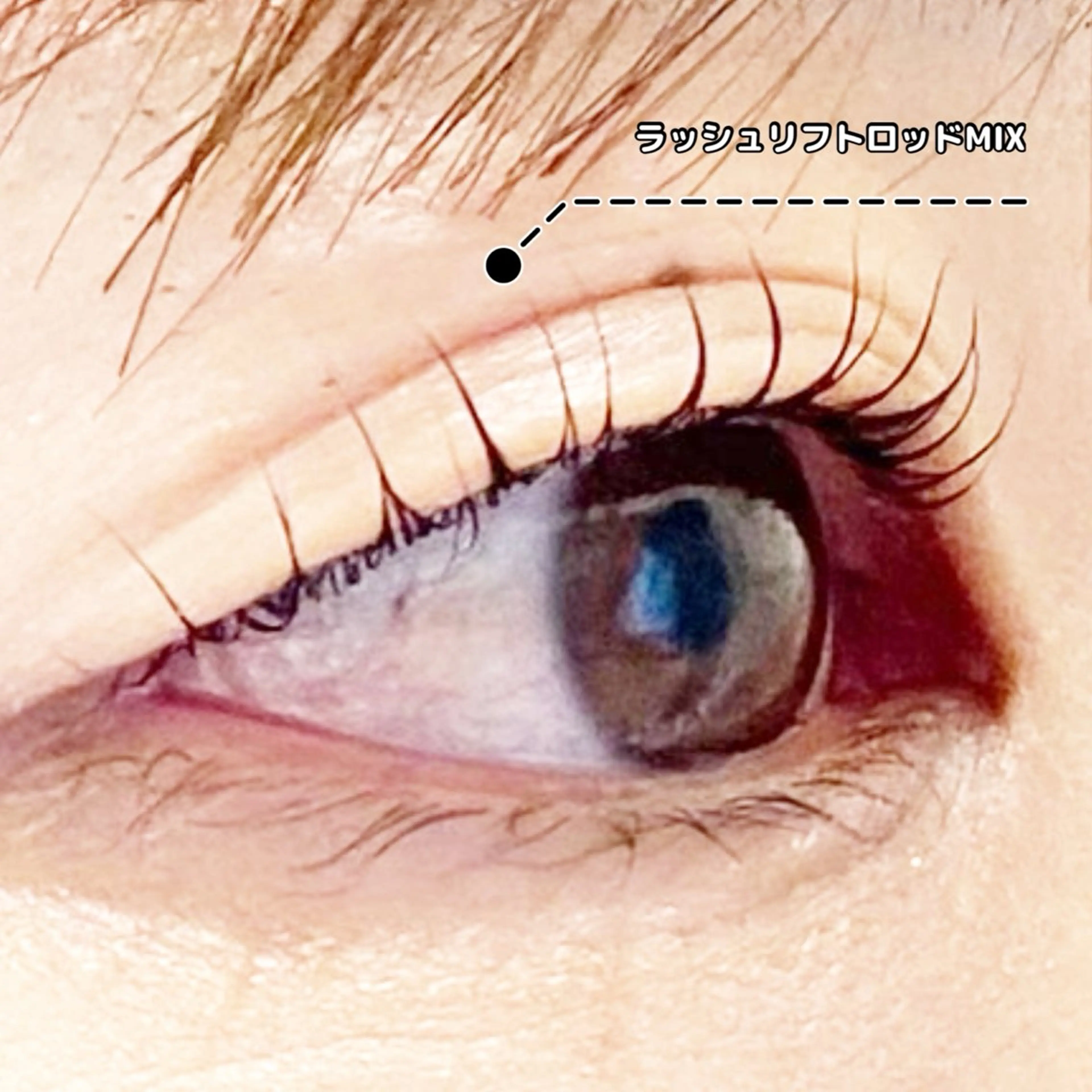 マツエク・マツパ 一重×まつ毛パーマ LC尾張旭店所属・LC尾張旭店🫧 いしいのマツエク・マツパデザイン