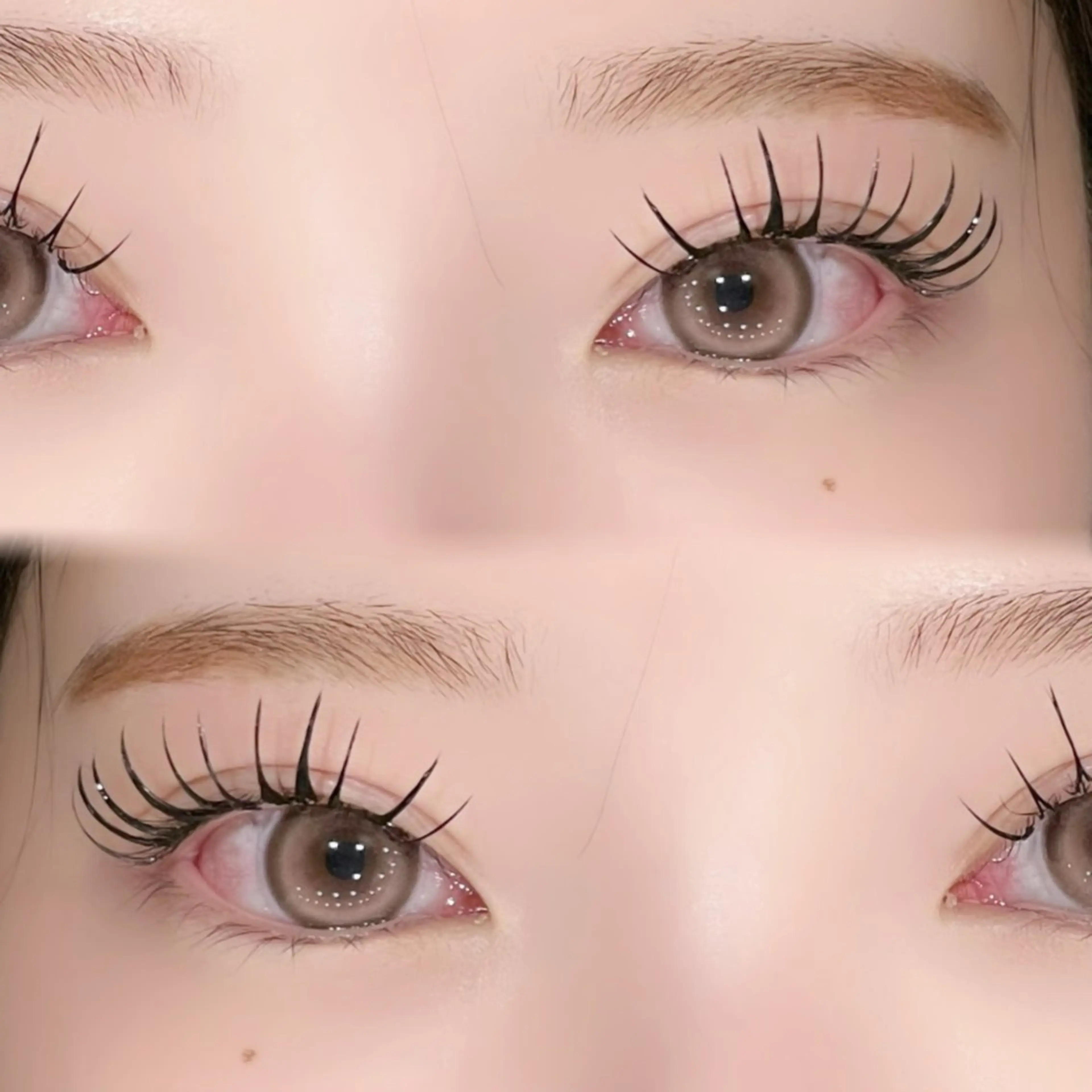 【💫期間限定セットメニュー💫】&healthyバインドロック60束×美眉スタイリング💖の写真