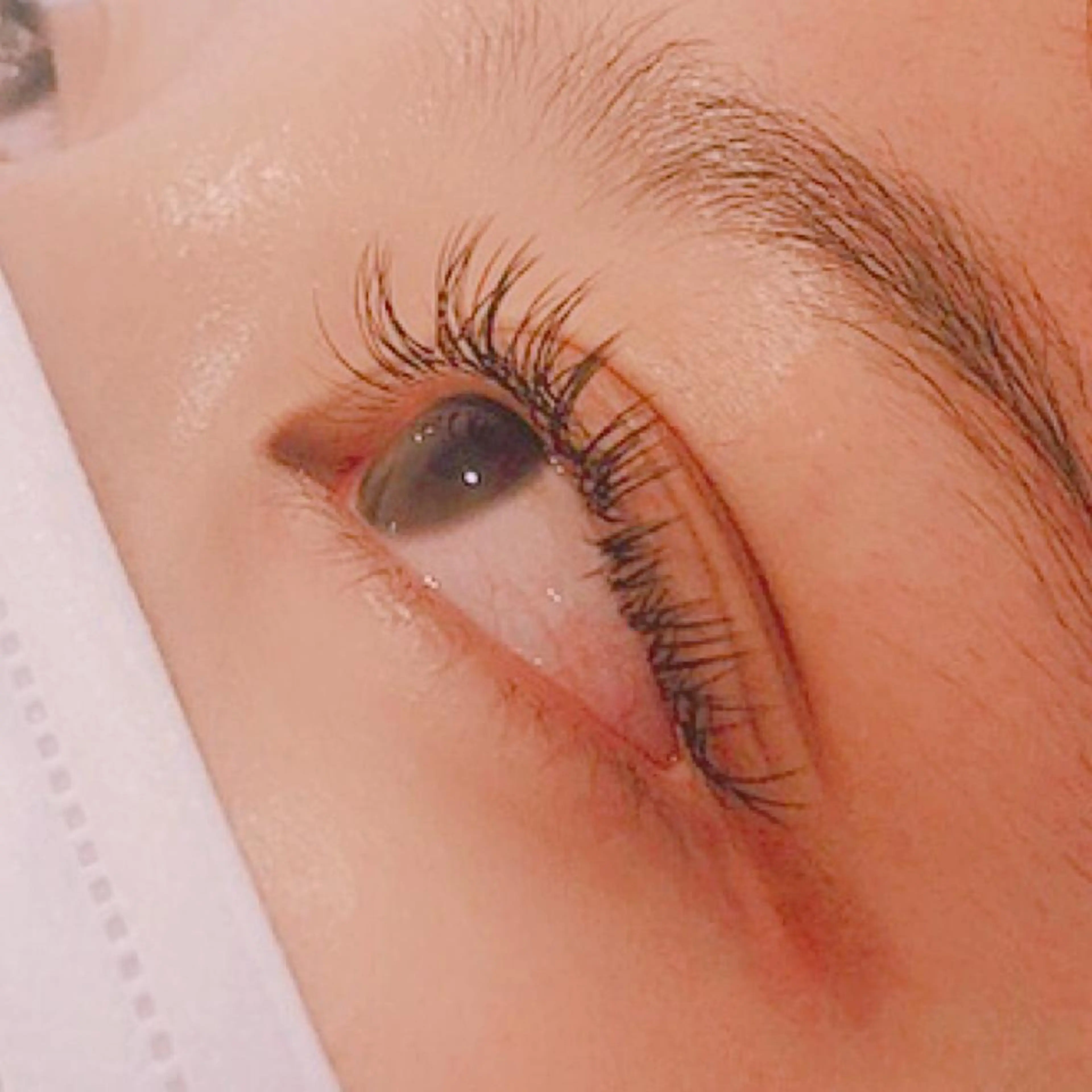 マツエク・マツパ Jカール ナチュラル AYLASH石川 韓国風/カラエクのマツエク・マツパデザイン