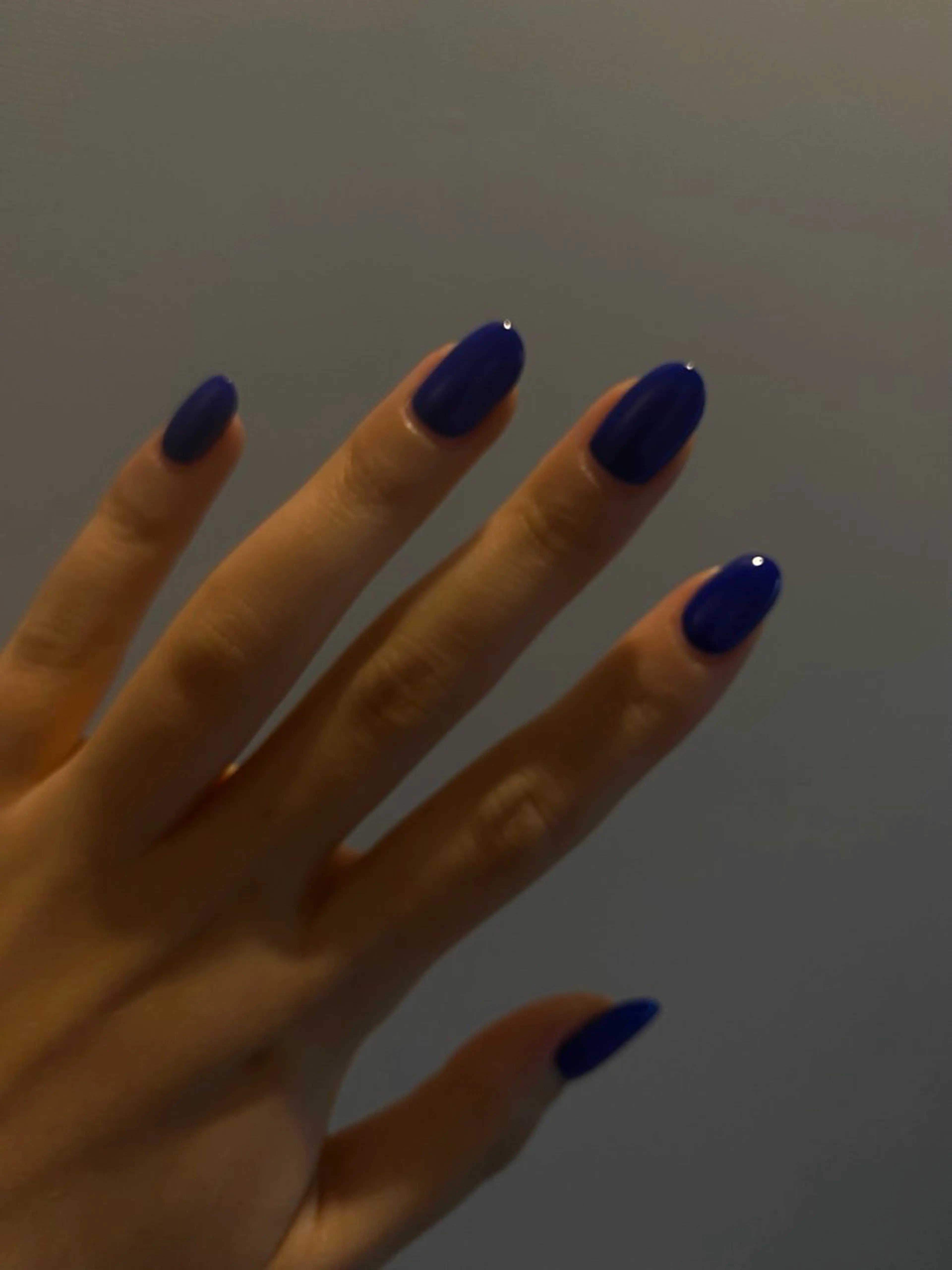 𝗈𝗇𝖾 𝖼𝗈𝗅𝗈𝗋の写真