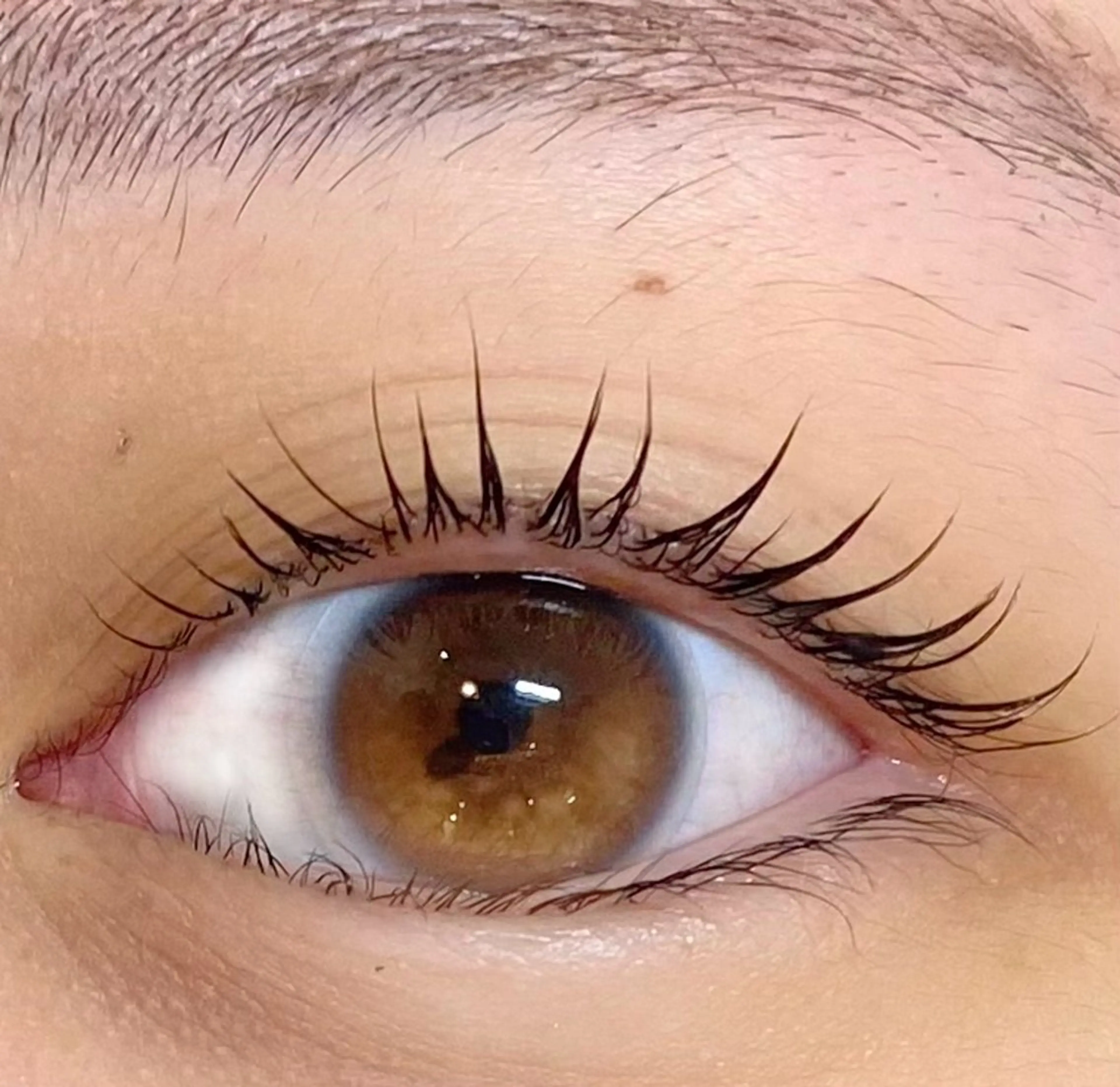 マツエク・マツパ まつげパーマ Luxe nihongi🤍のマツエク・マツパデザイン