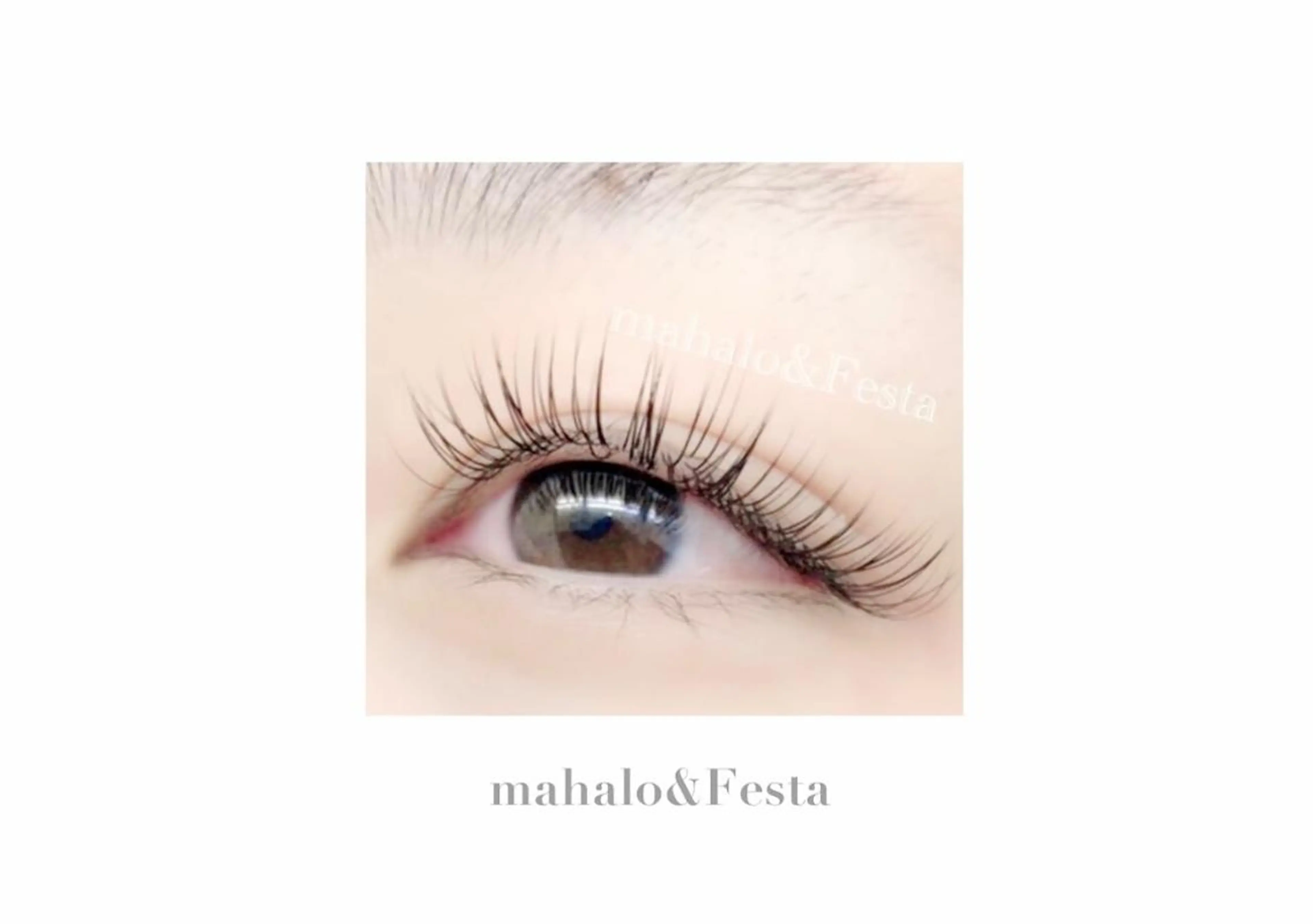 マツエク・マツパ Nina EYELASH所属・PHYLAIS eyelashのマツエク・マツパデザイン