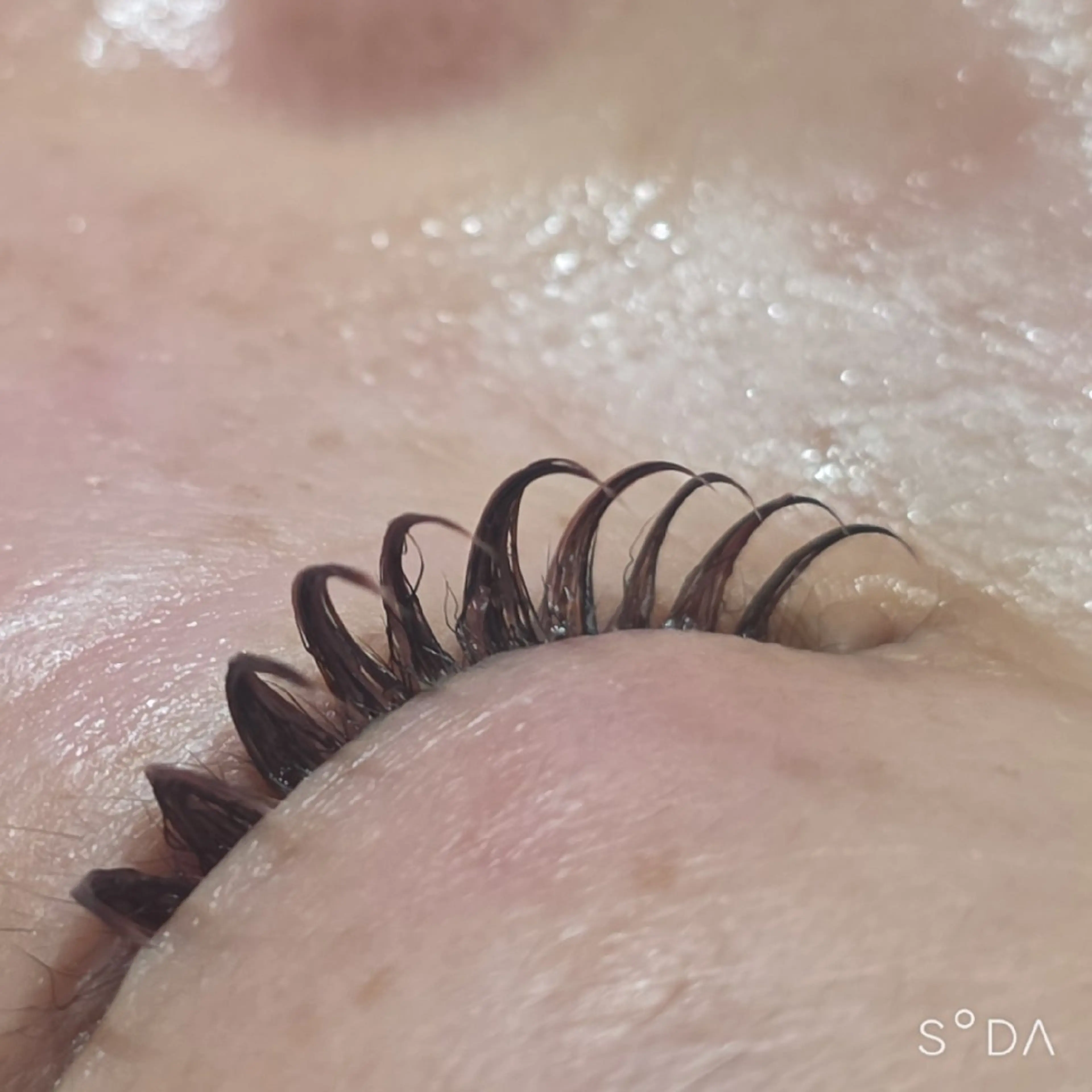 マツエク・マツパ マツエク C. Lのマツエク・マツパデザイン