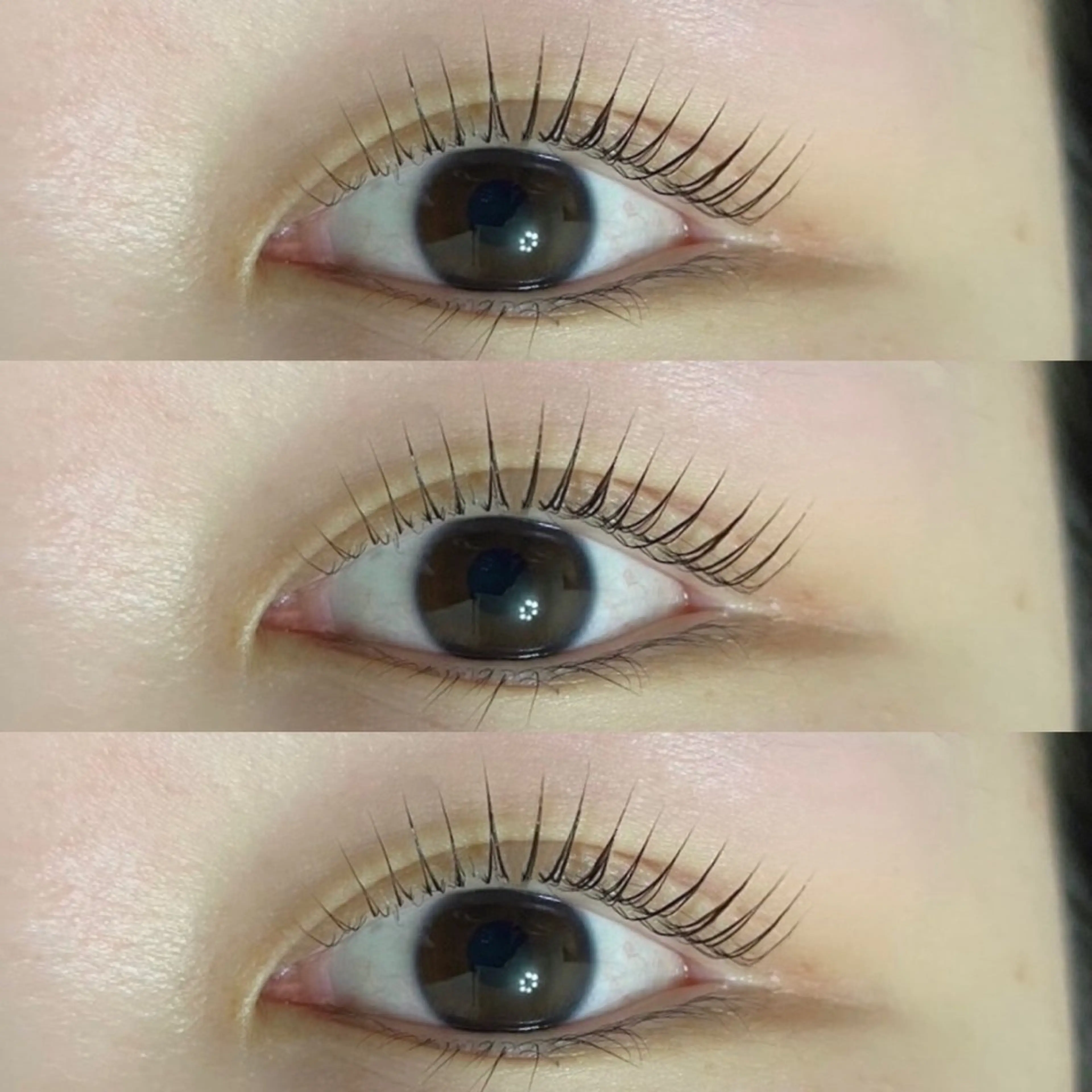 🎄🎅ラッシュリフト🌟(似合わせまつ毛パーマ)コーティング、アイシャンプー付の写真