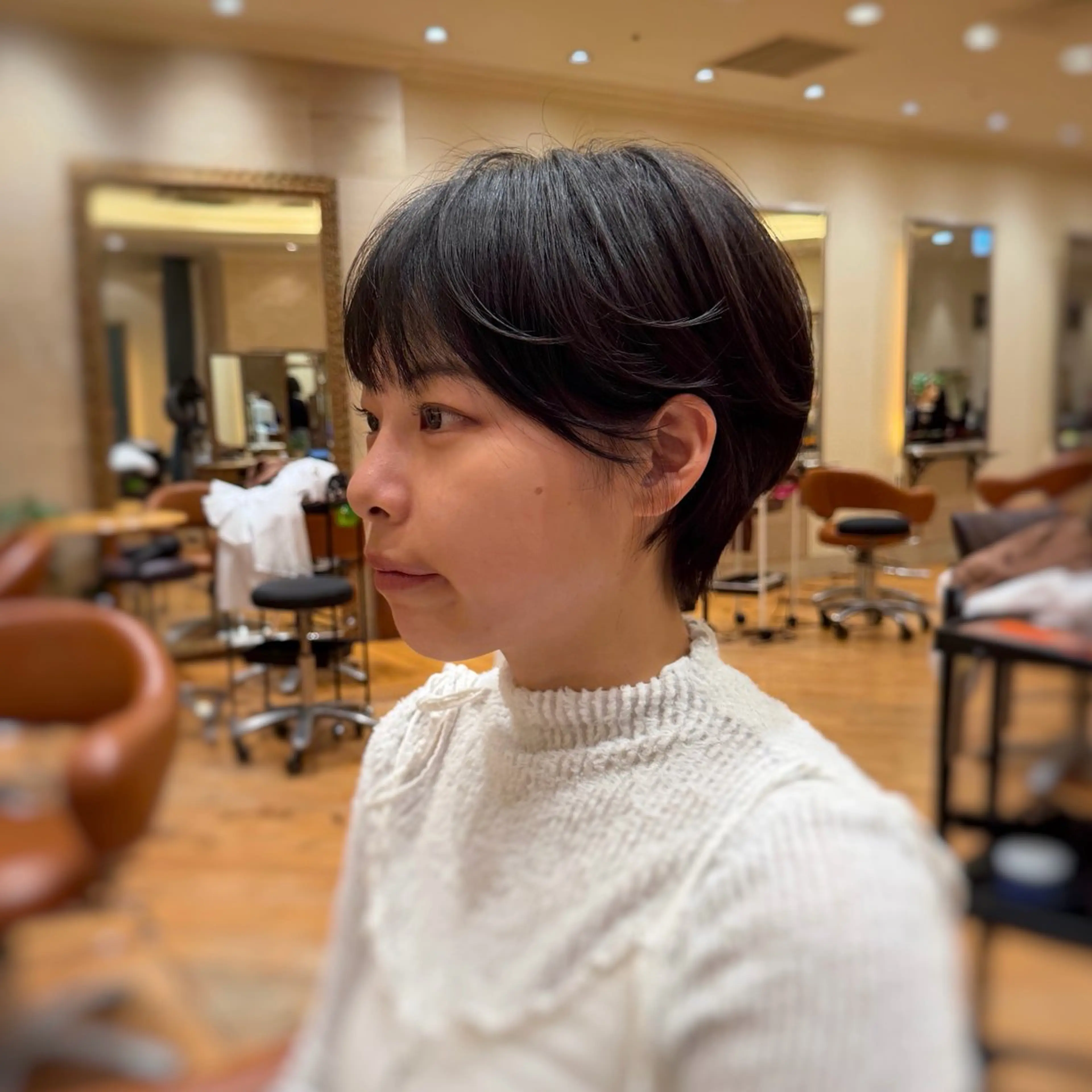 ショート ショートレイヤー 丸みショート レイヤーカット ショートヘア BEAUTRIUM  aoyama店所属・カット無料🎶 たるみことりのヘアスタイル