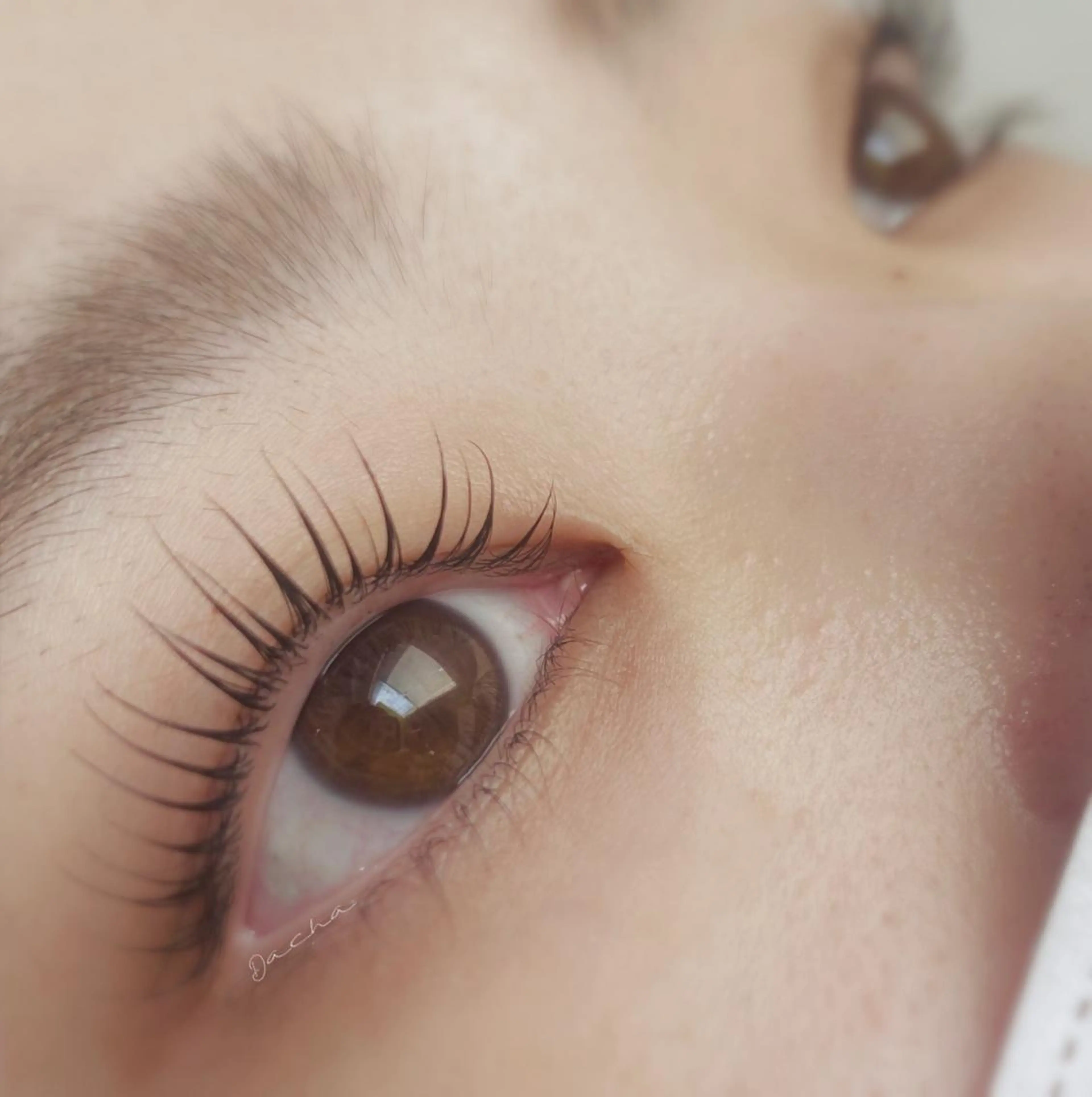 マツエク・マツパ Dacha まつ毛屋さんのマツエク・マツパデザイン