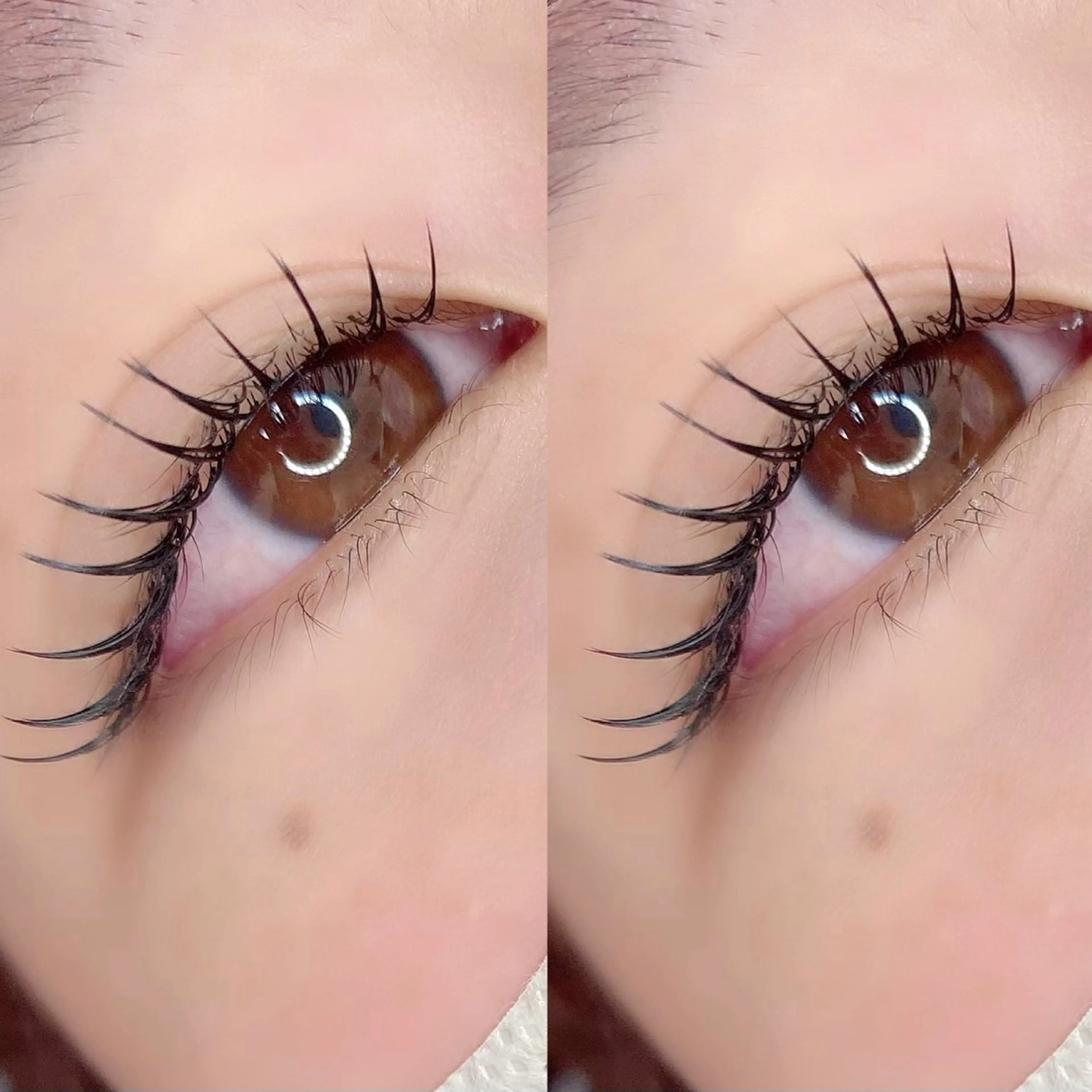 フラットラッシュ120本の写真