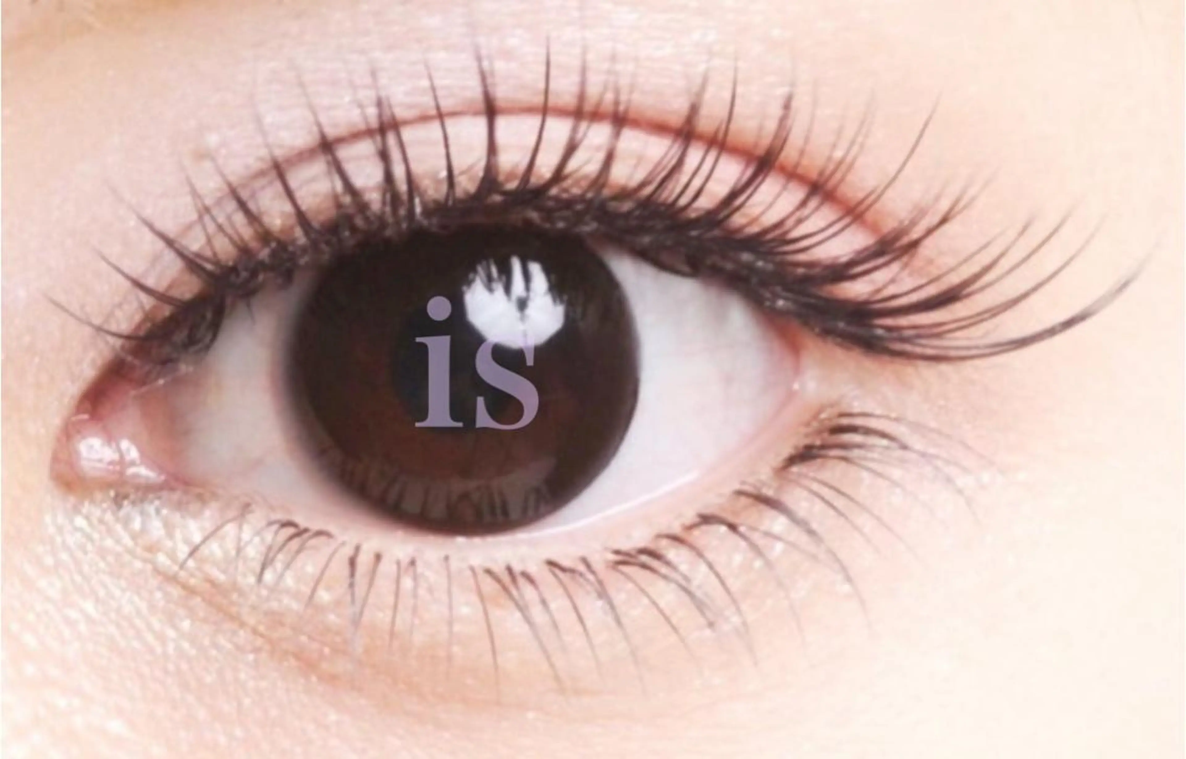 🍁セーブル80本🍁¥4320の写真