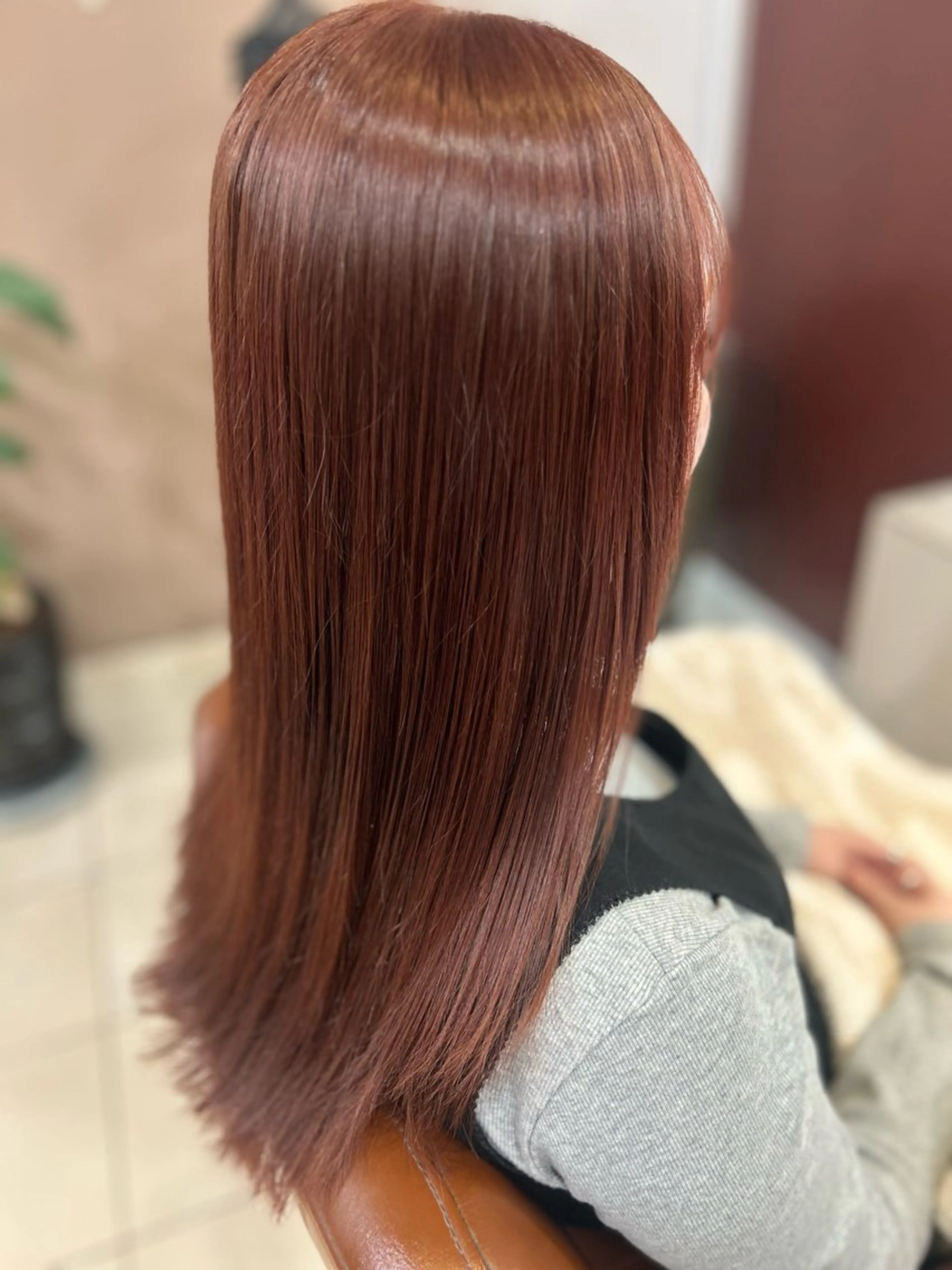 3月限定価格ワンカラーの写真