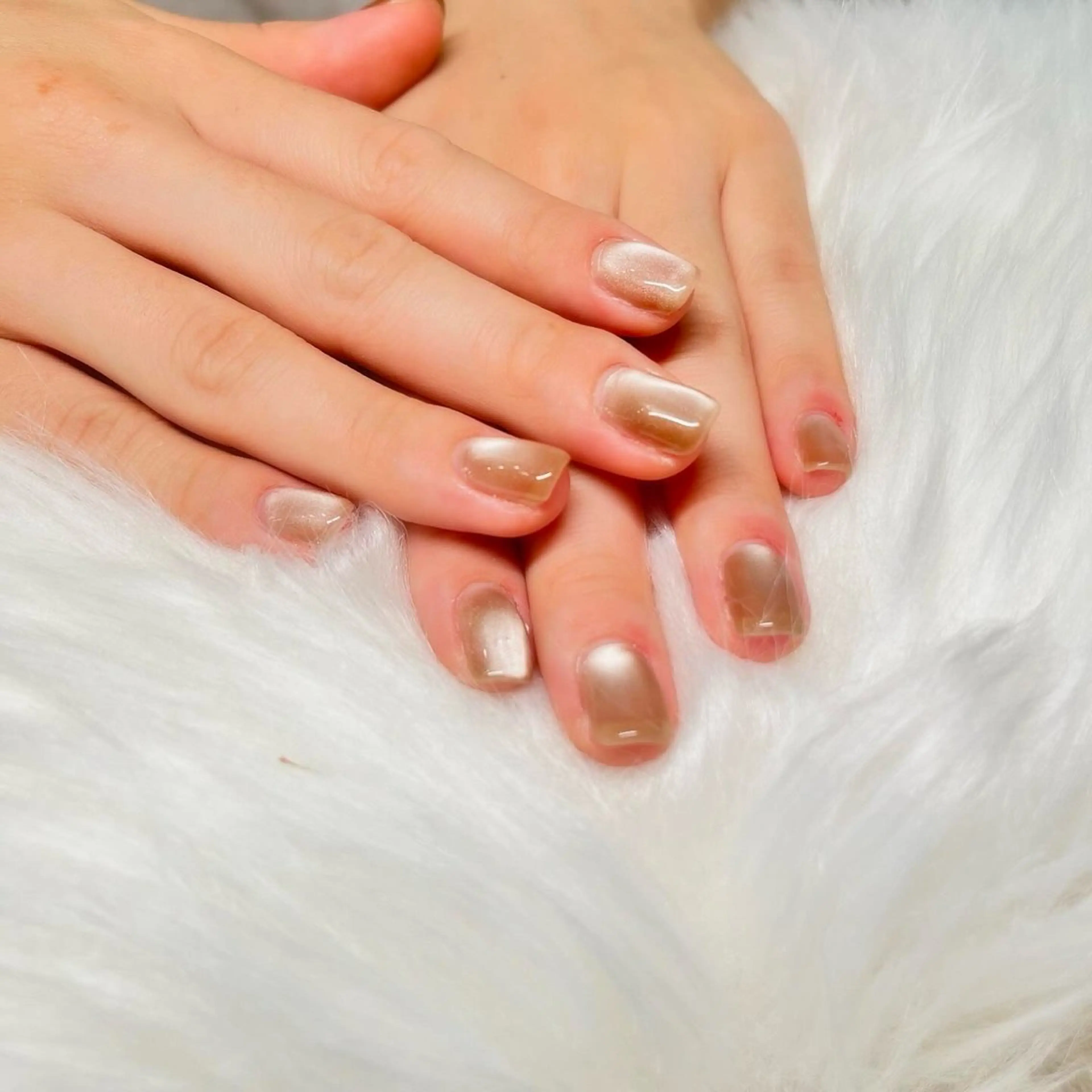 ワンカラーorラメグラデーション【オフ込み】の写真