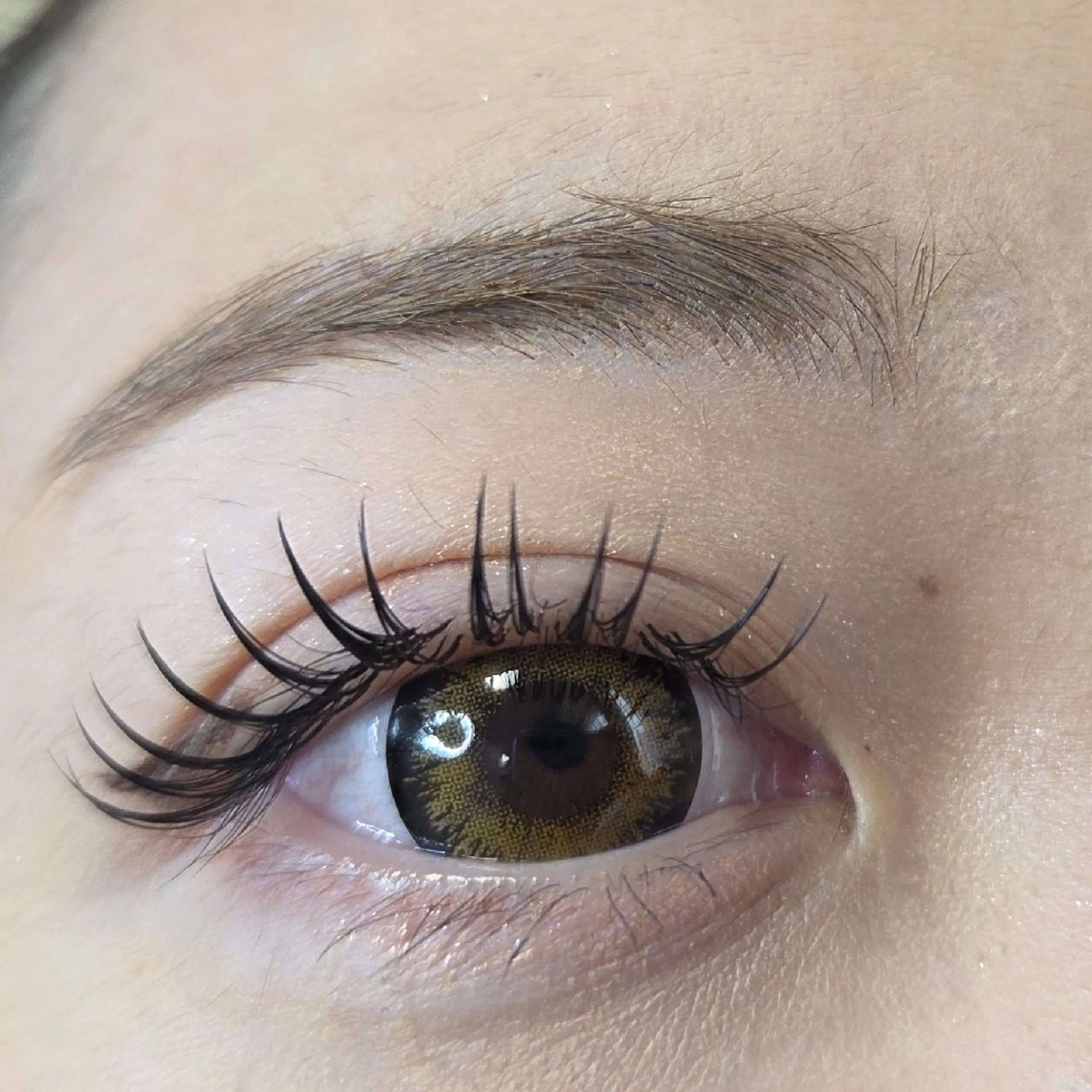 【オフあり】✨LEDフラットマットラッシュ160本迄 付け放題✨【オフあり】の写真