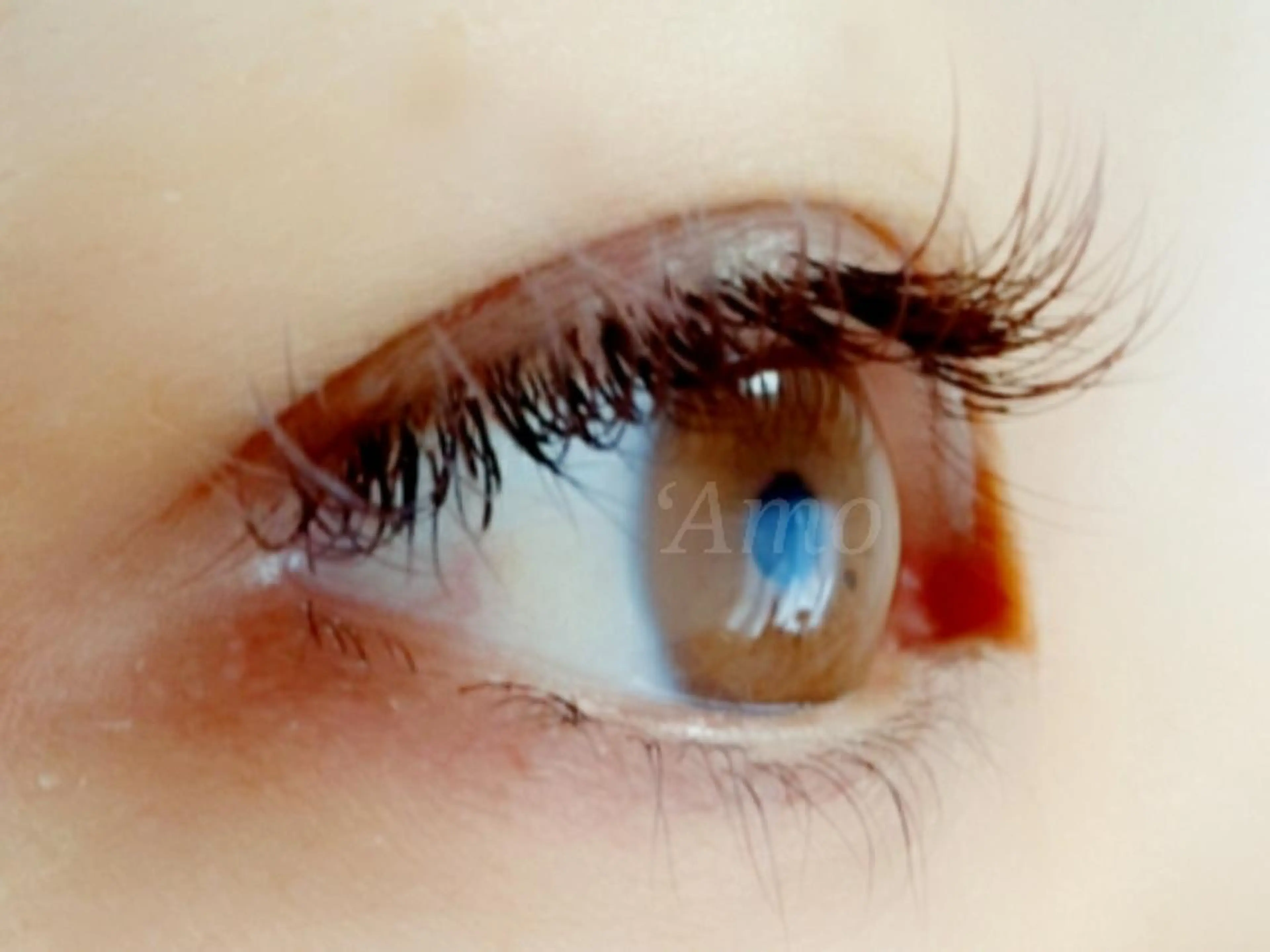 マツエク・マツパ Cカール カラーマツエク キュート ‘Amo アモのマツエク・マツパデザイン