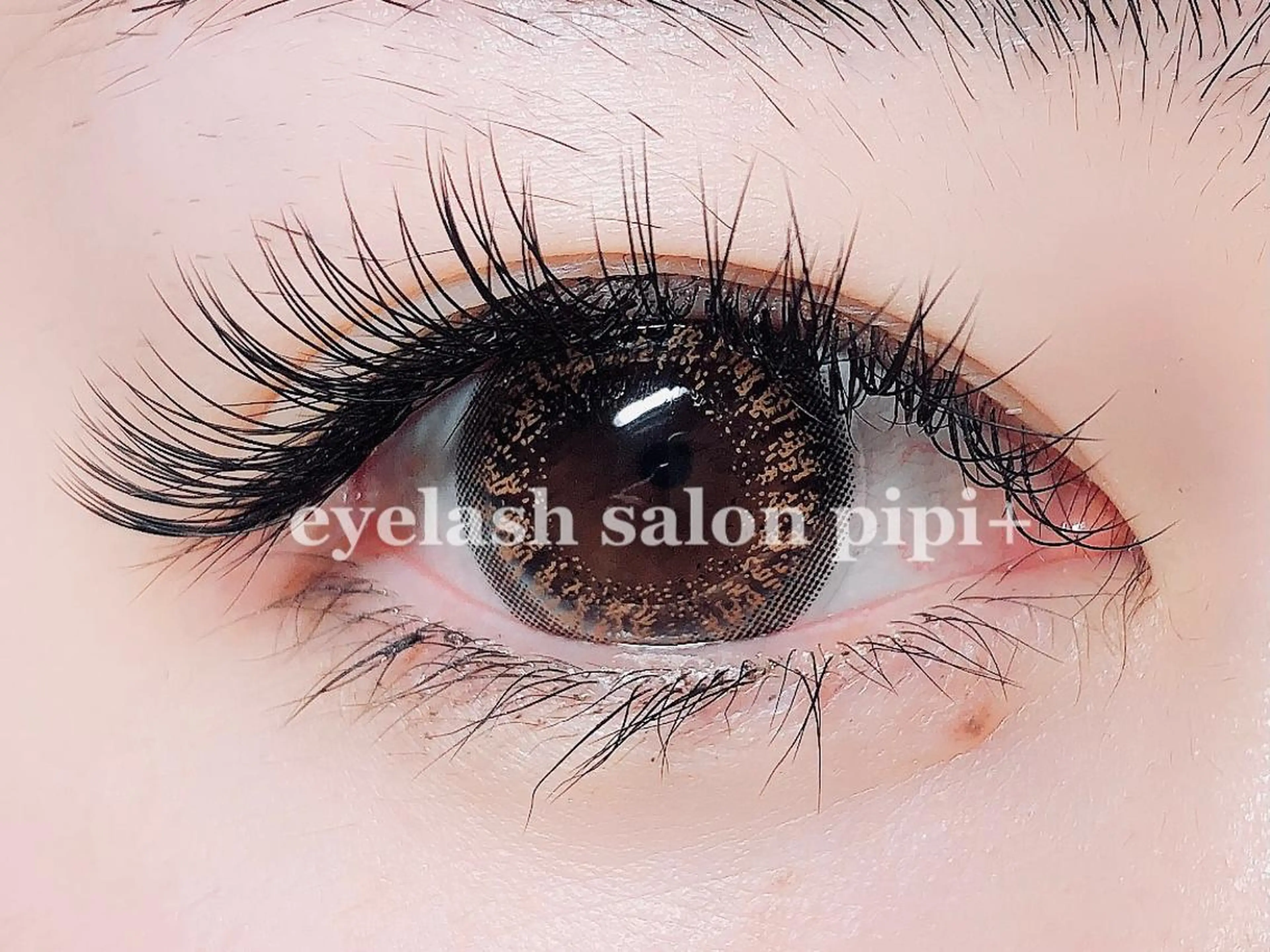 🌼全員【最高級レーザーセーブル】上まつ毛無制限付け放題（約200本）の写真