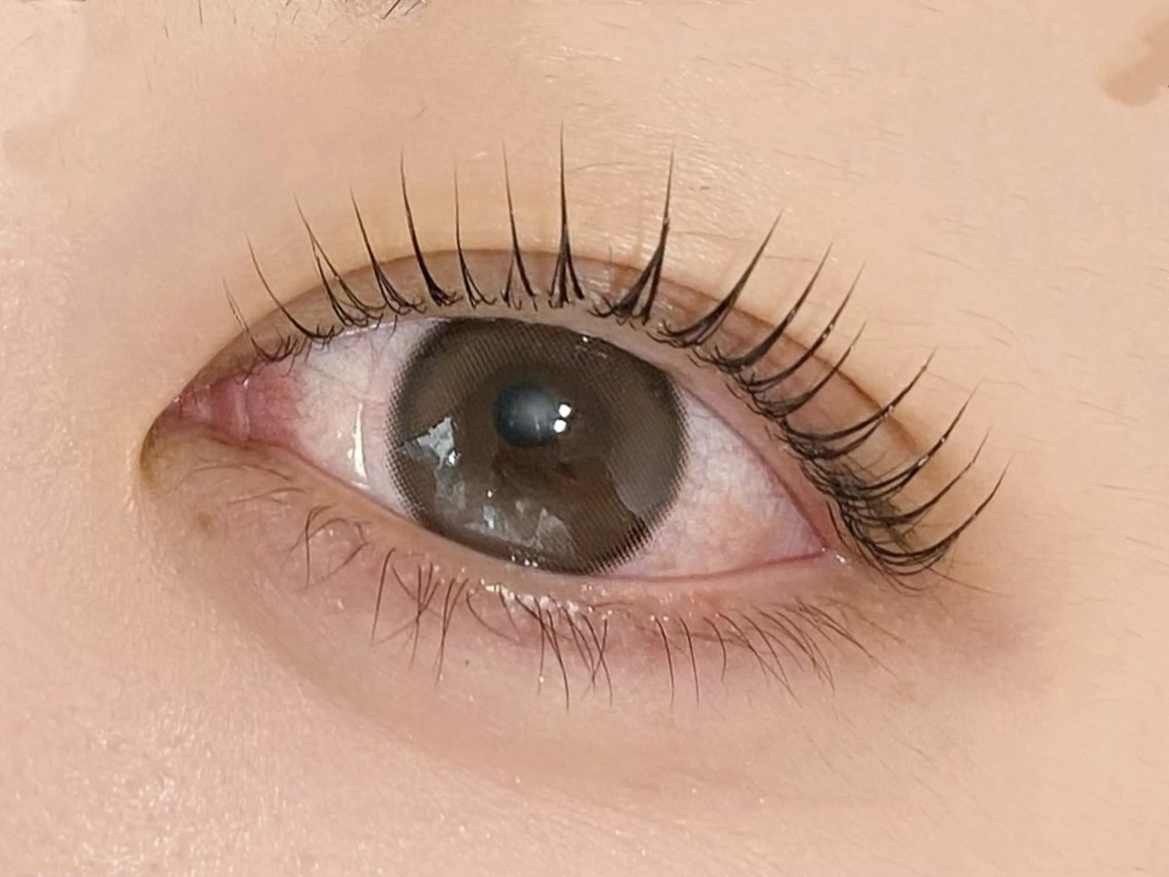 マツエク・マツパ パリジェンヌラッシュリフト マツパ 💎マツエク/眉毛 パリジェンヌ渋谷💎の眉毛・アイブロウイメージ