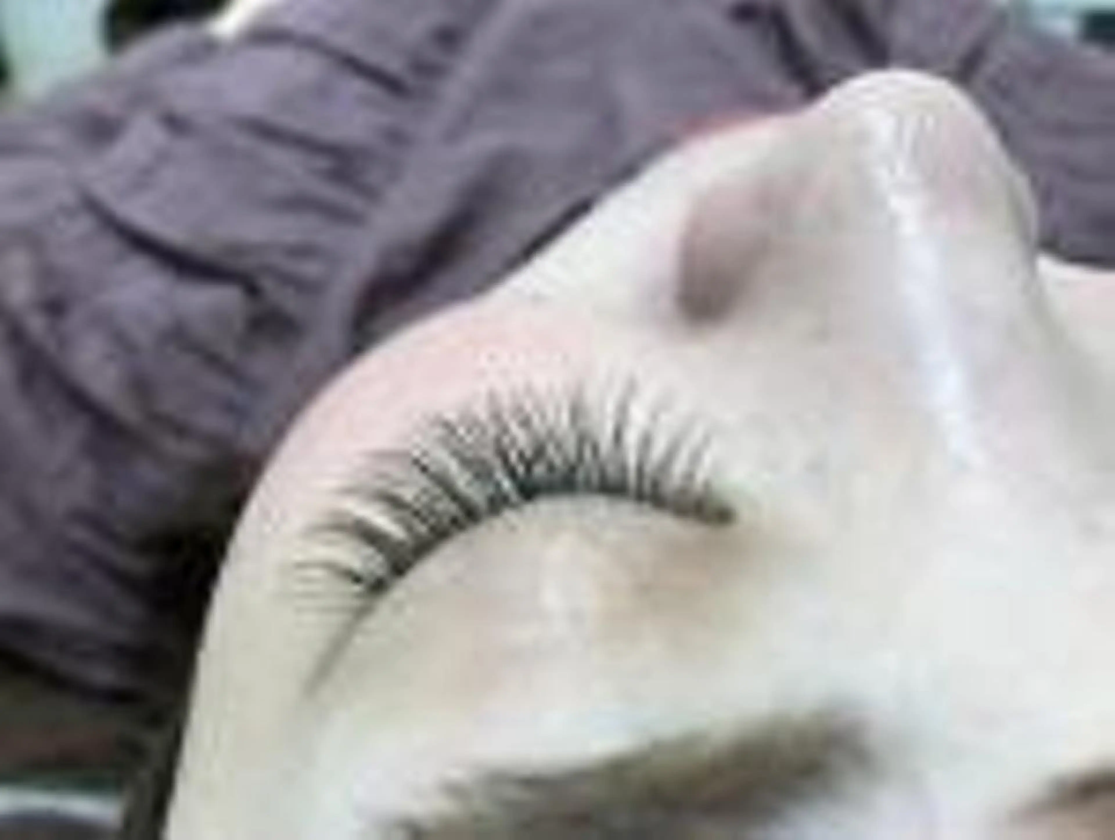 マツエク・マツパ プラスアイ 上野駅前店のマツエク・マツパデザイン