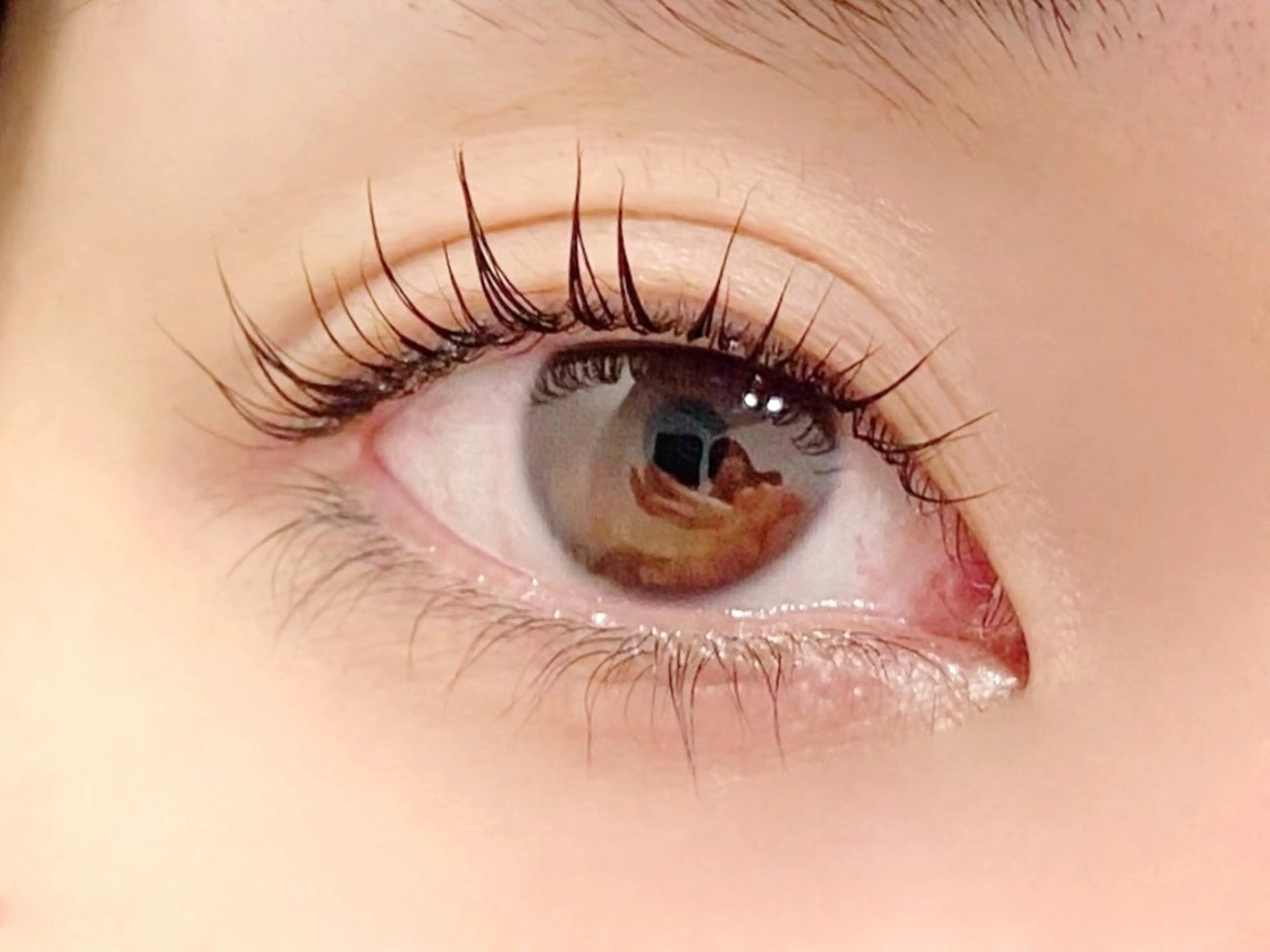 マツエク・マツパ サクラブロウ 猿渡の眉毛・アイブロウイメージ