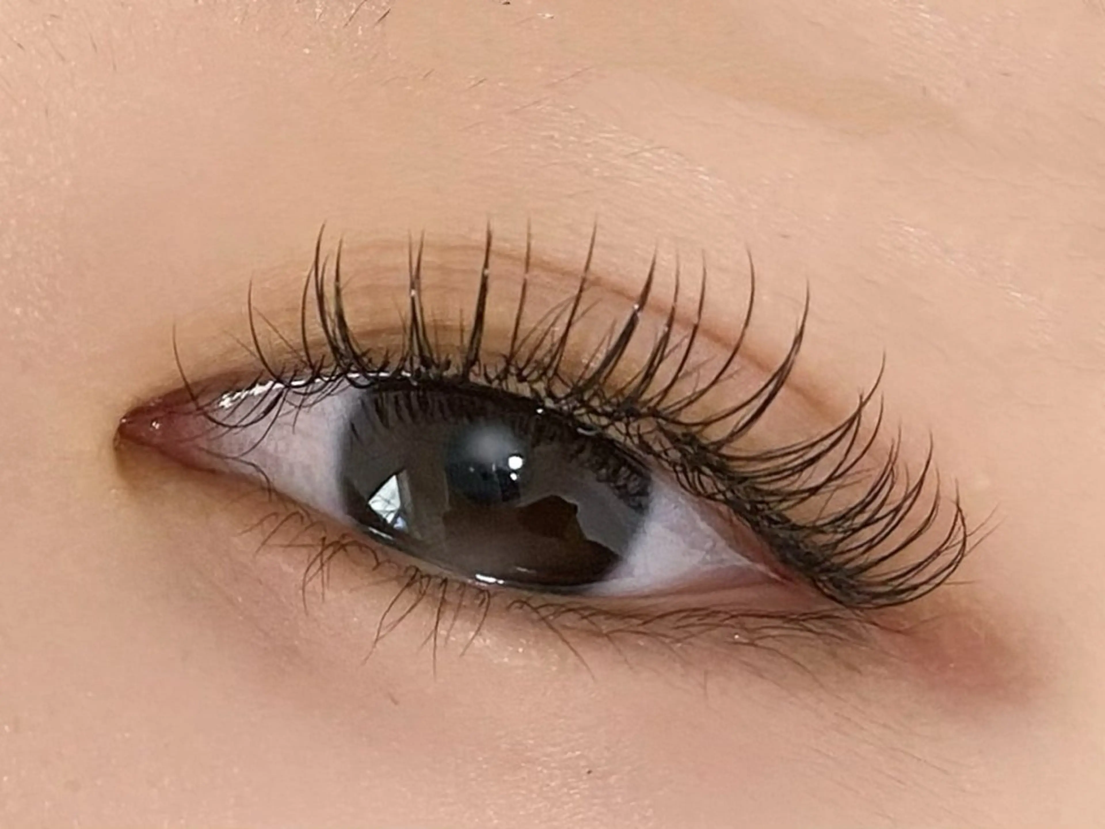 マツエク・マツパ フラットラッシュ マツエク 💎マツエク/眉毛 パリジェンヌ渋谷💎の眉毛・アイブロウイメージ