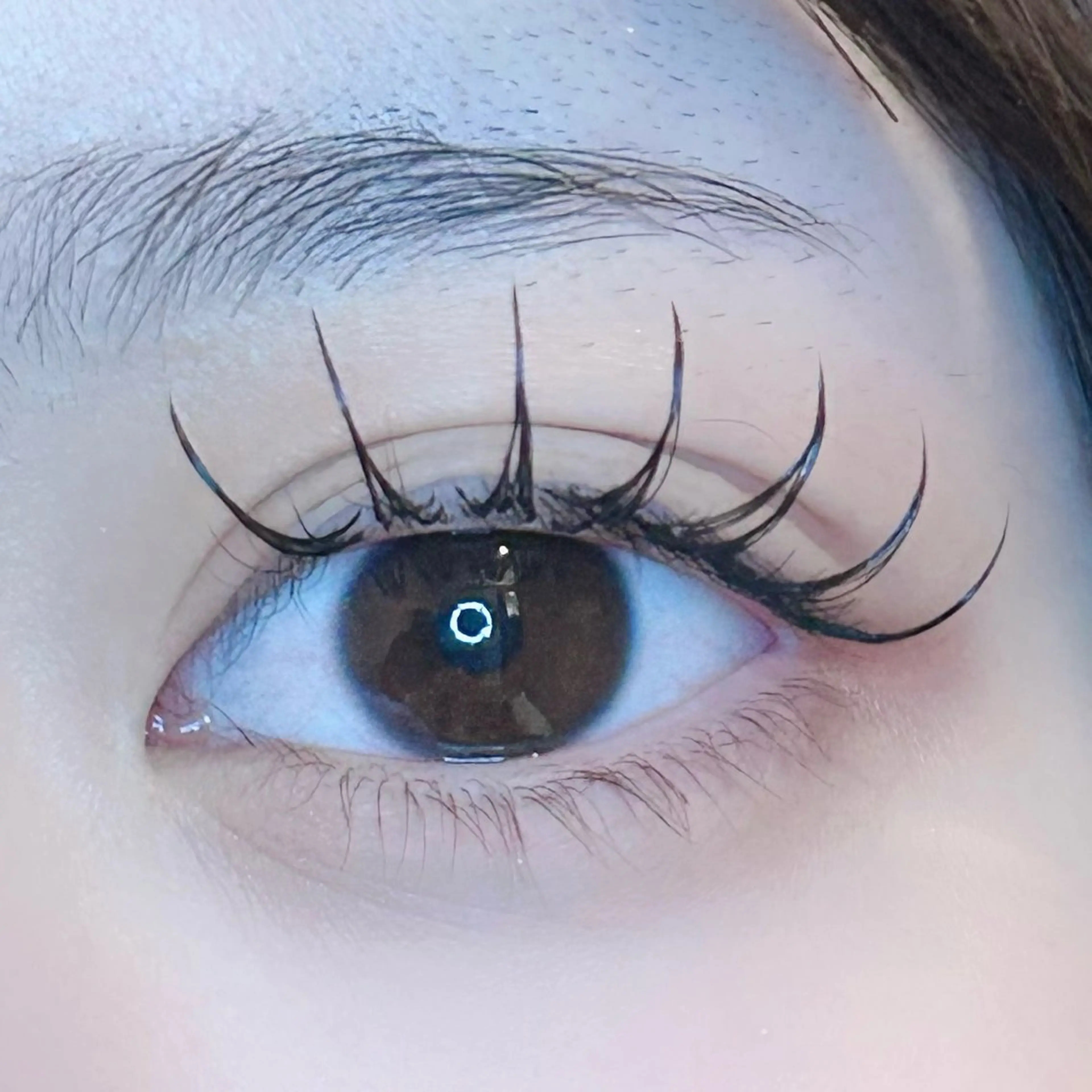 ミニモ学割限定​〜​Flat Lash​〜​200本[アイシャンプー・美容液配合コーティング剤]の写真