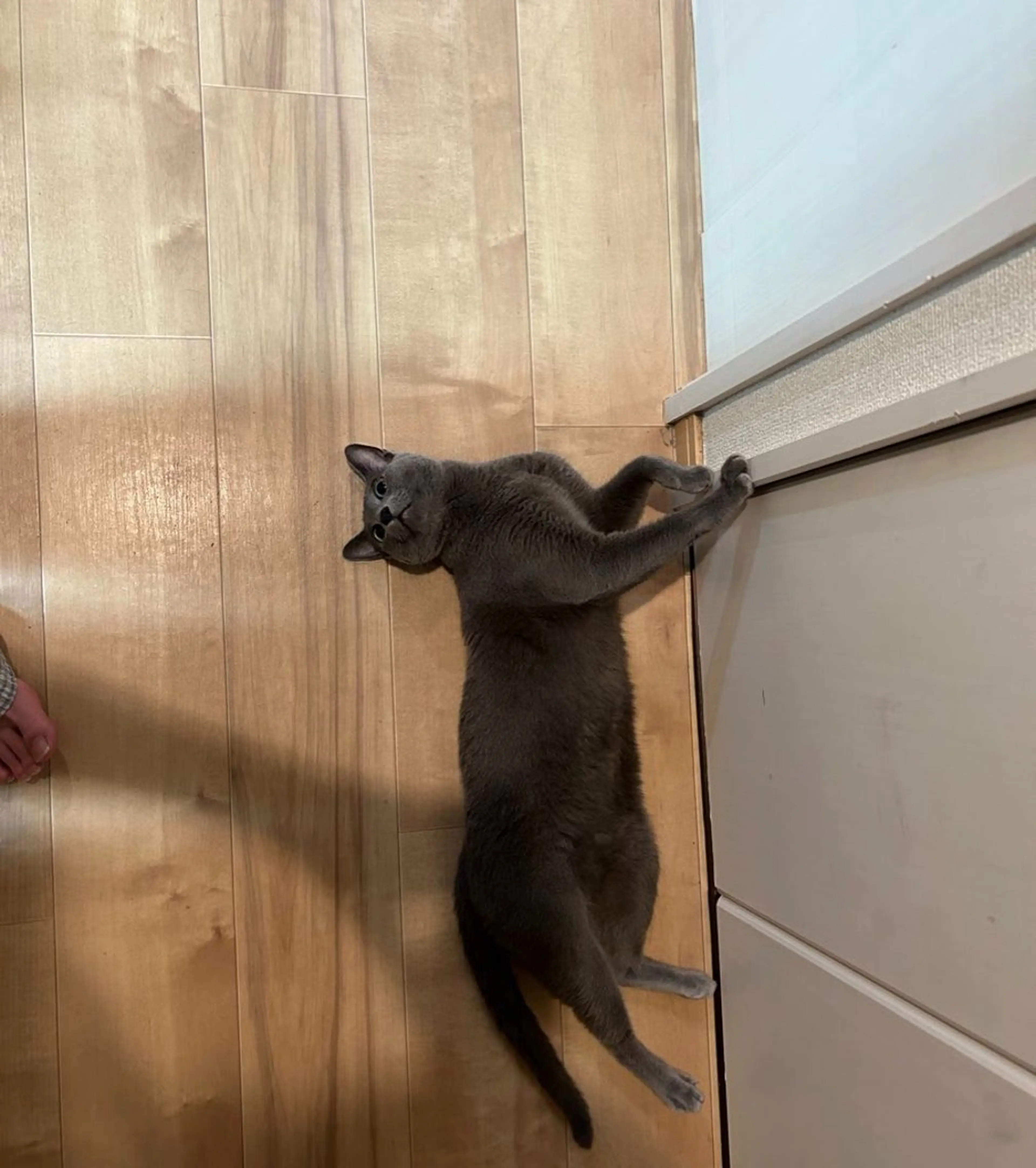 ショート アニメ,Vオタク× 即効痩せエステサロンのエステ・リラクイメージ