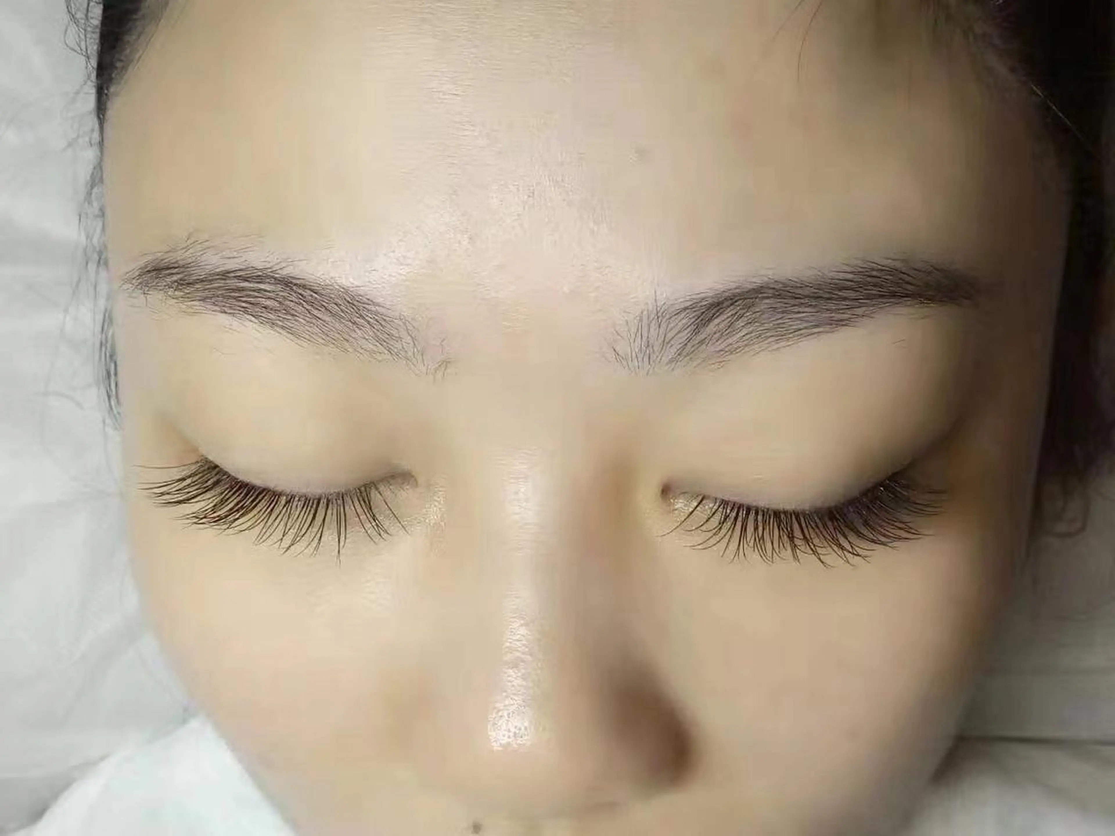 フラットラッシュ100本の写真