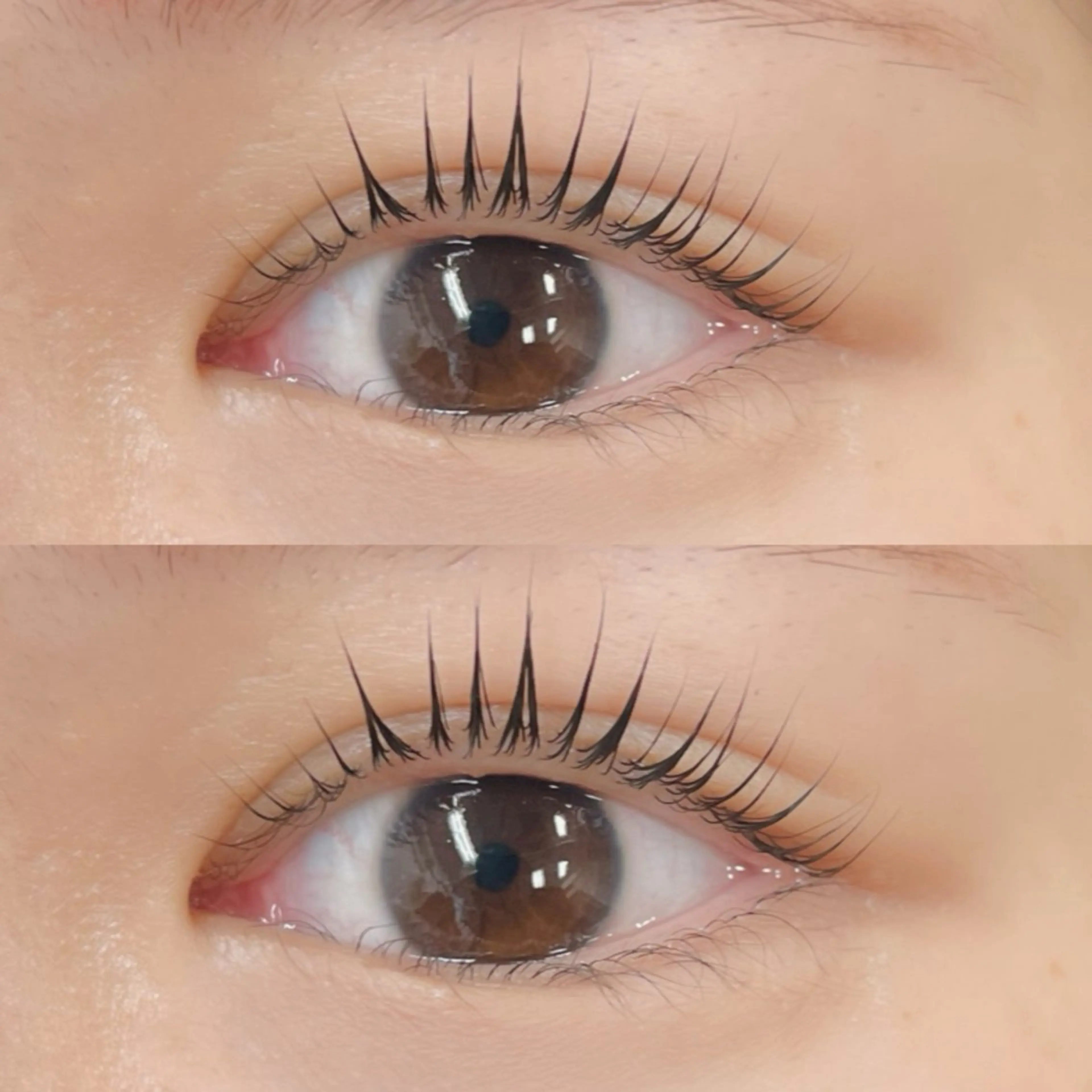 マツエク・マツパ マツパ Moe/韓国風/ 束感/キュート❤︎のマツエク・マツパデザイン