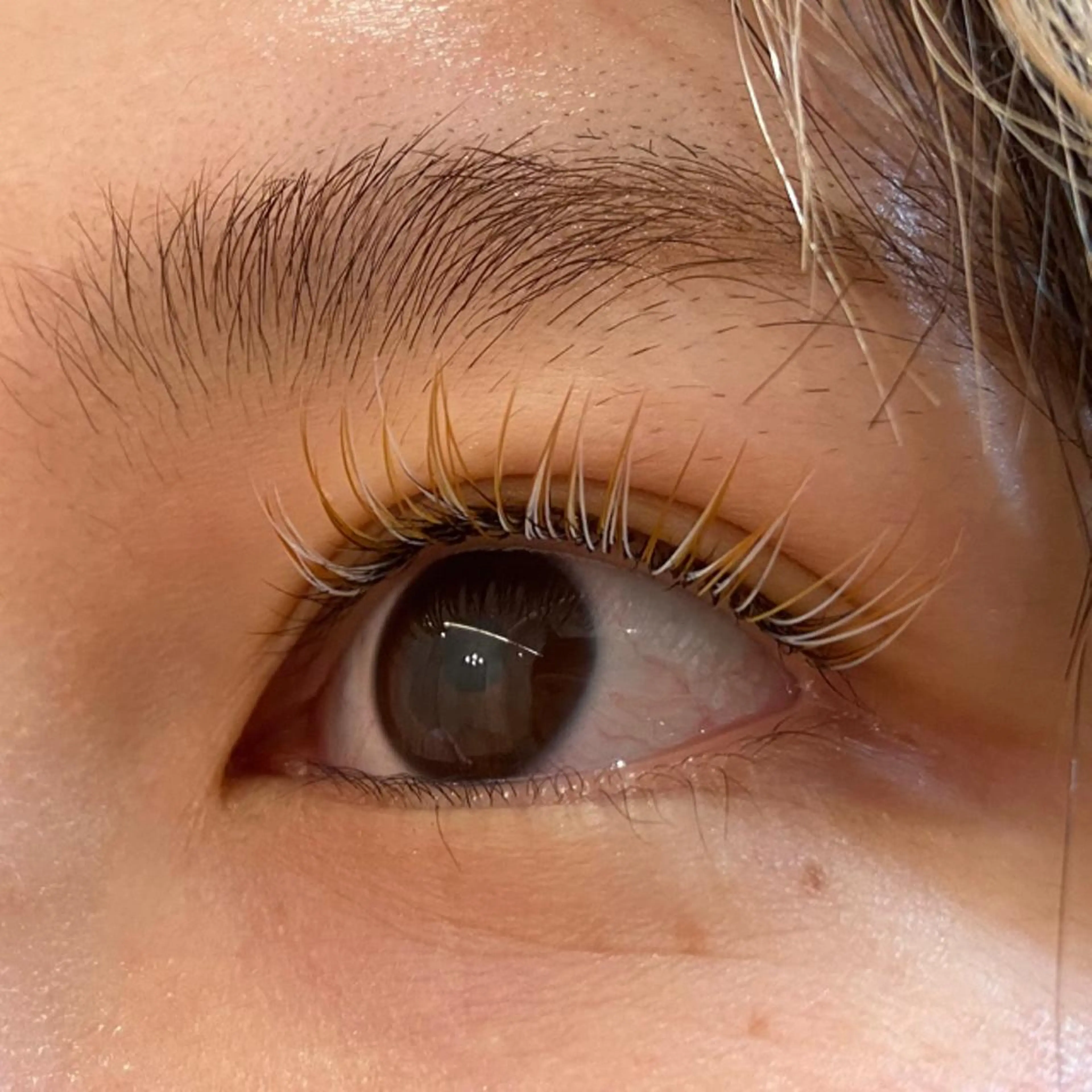 マツエク・マツパ Cカール カラーマツエク マツエク sato misakiのマツエク・マツパデザイン