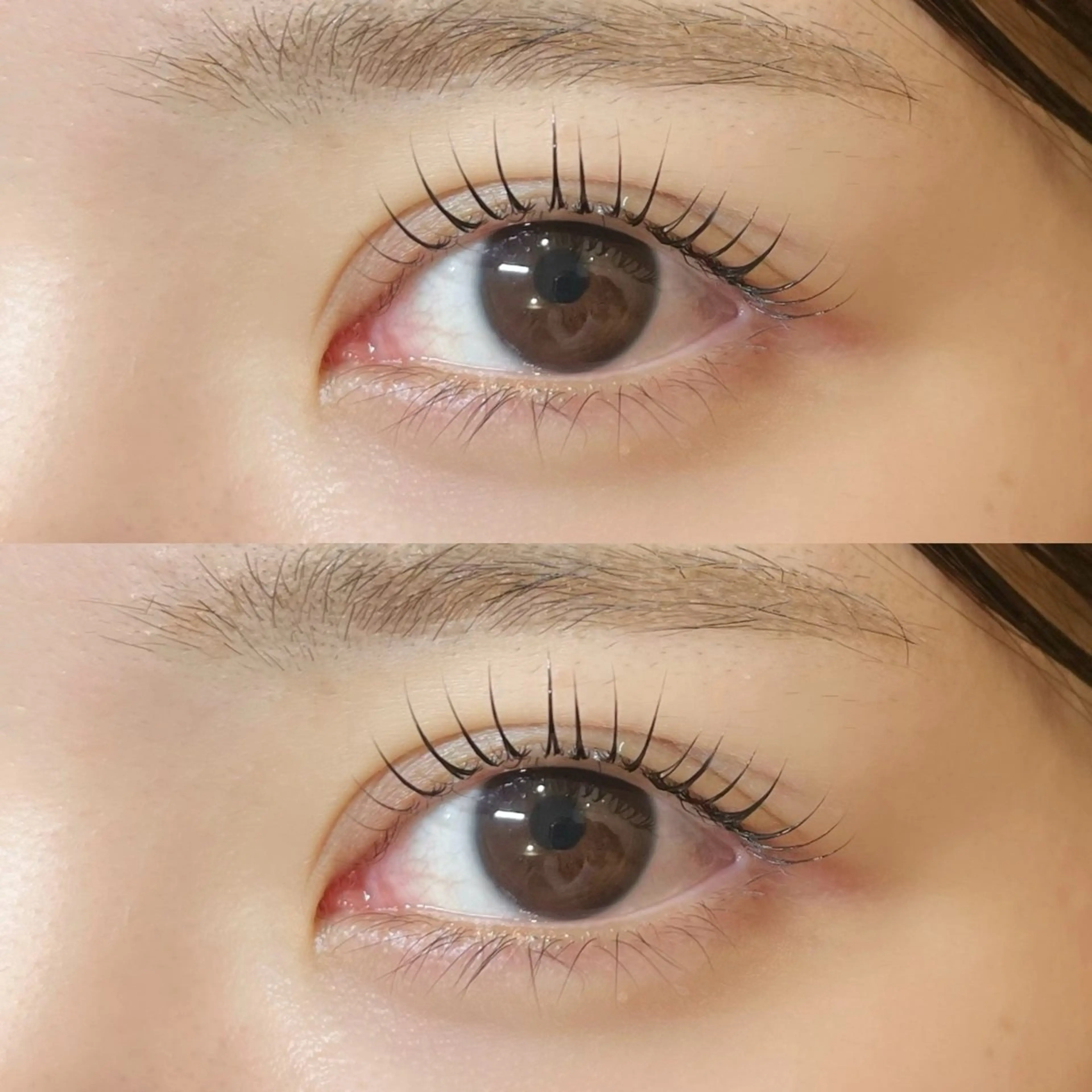 マツエク・マツパ 𝒆𝒊𝒈𝒉𝒕 杏花のマツエク・マツパデザイン