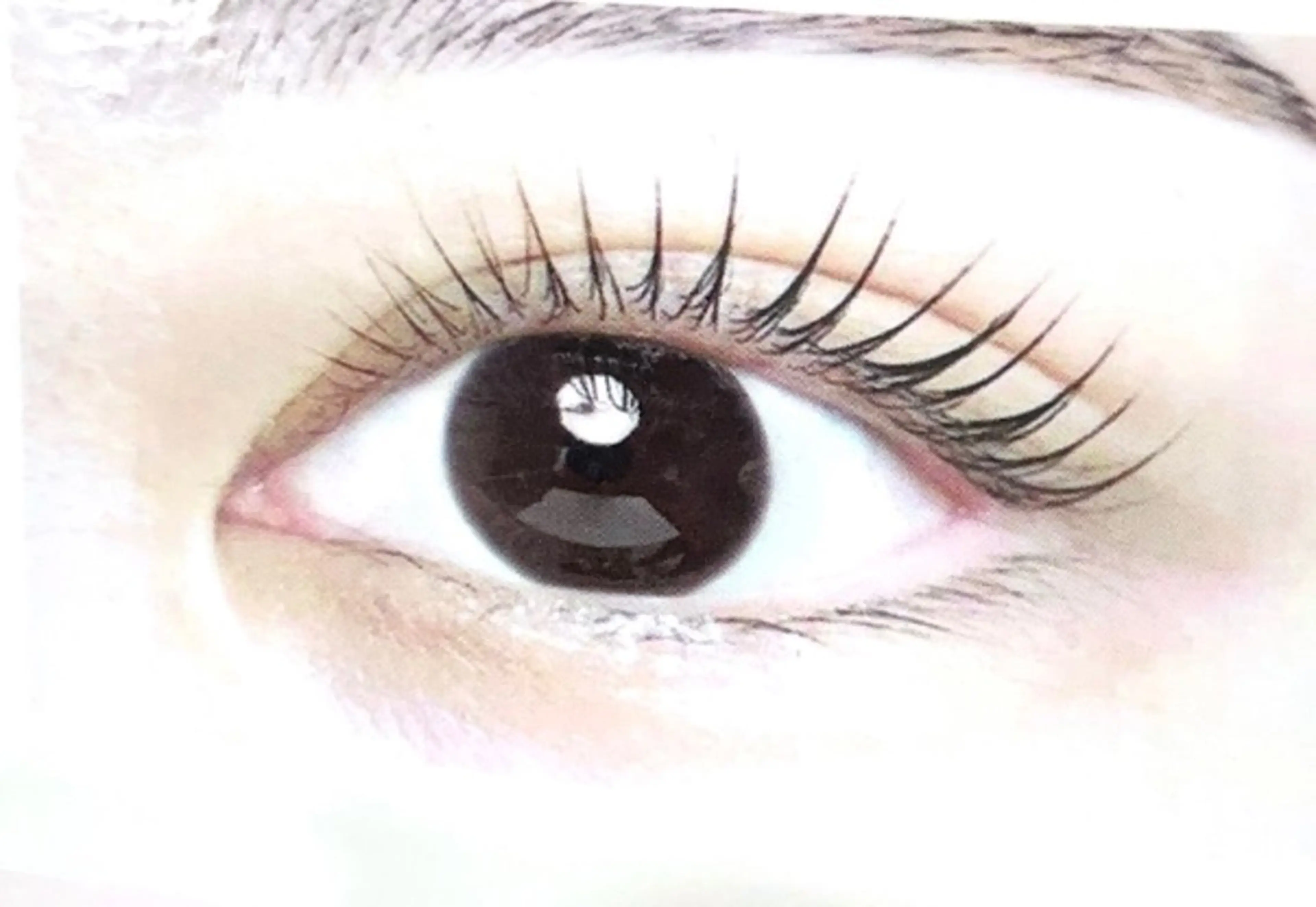 マツエク・マツパ マツパ le clairのマツエク・マツパデザイン