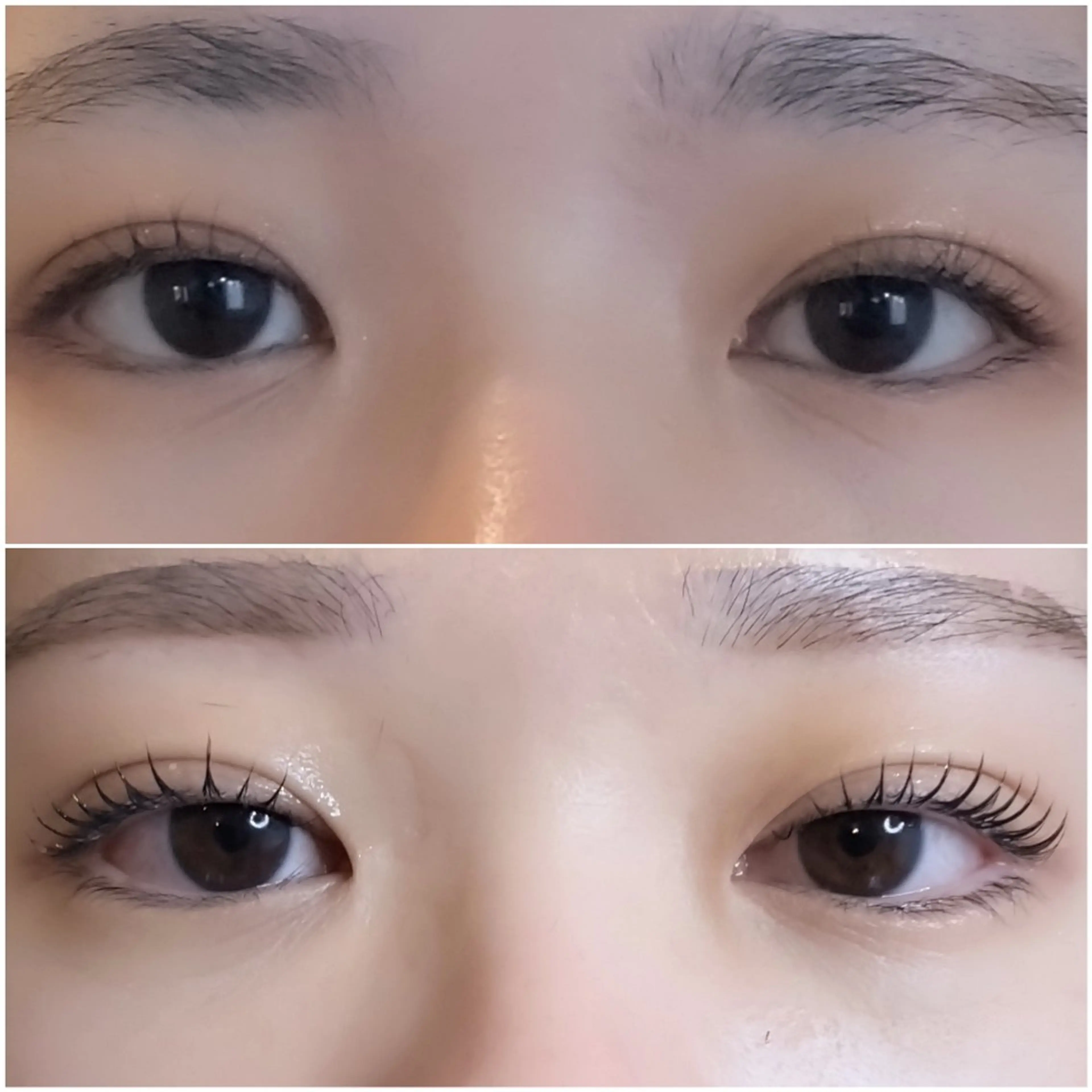 マツエク・マツパ マツパ 🦈Mana🦈 紬麦　栄店のマツエク・マツパデザイン