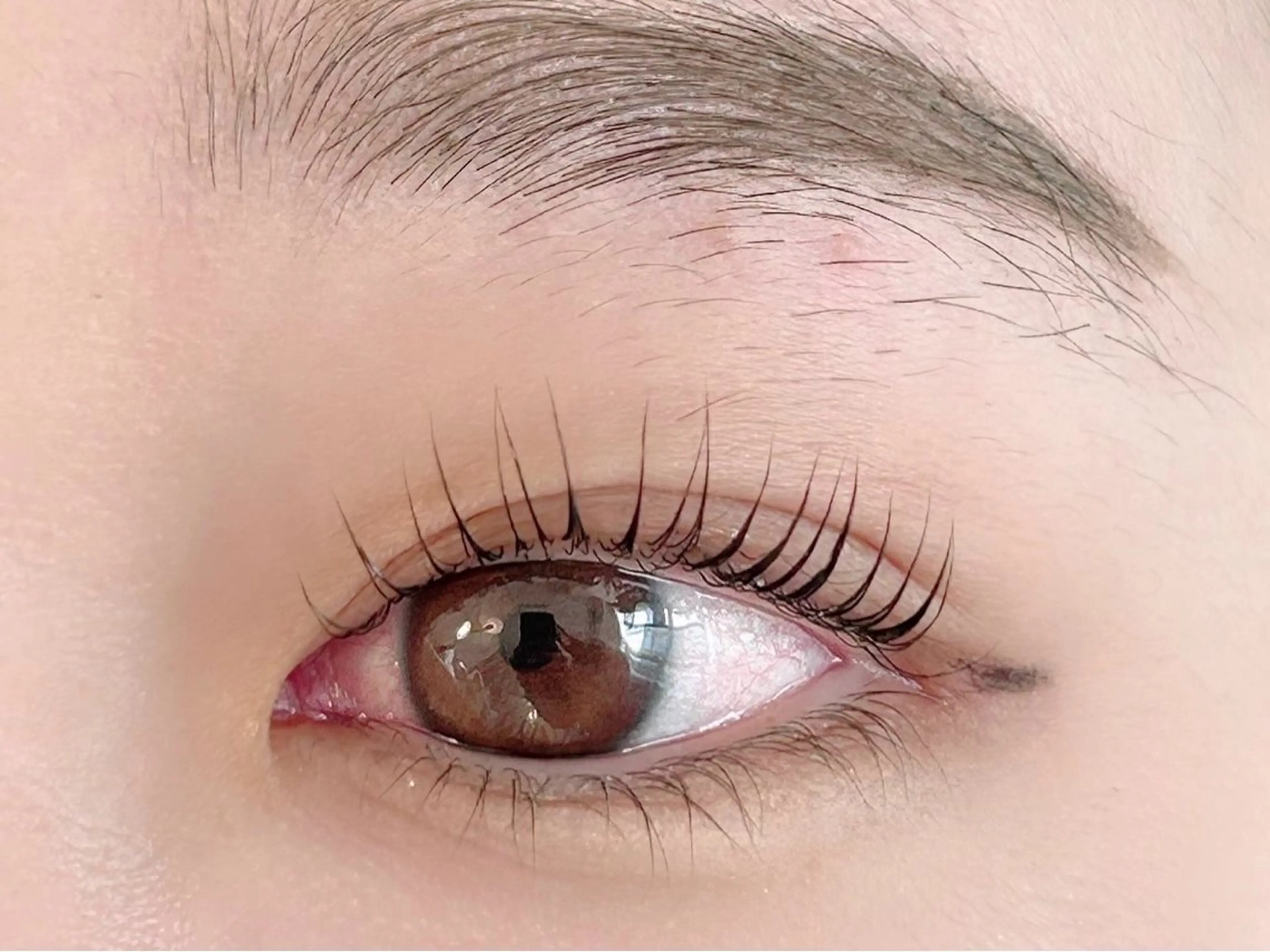 マツエク・マツパ lieu pré eyelashの眉毛・アイブロウイメージ