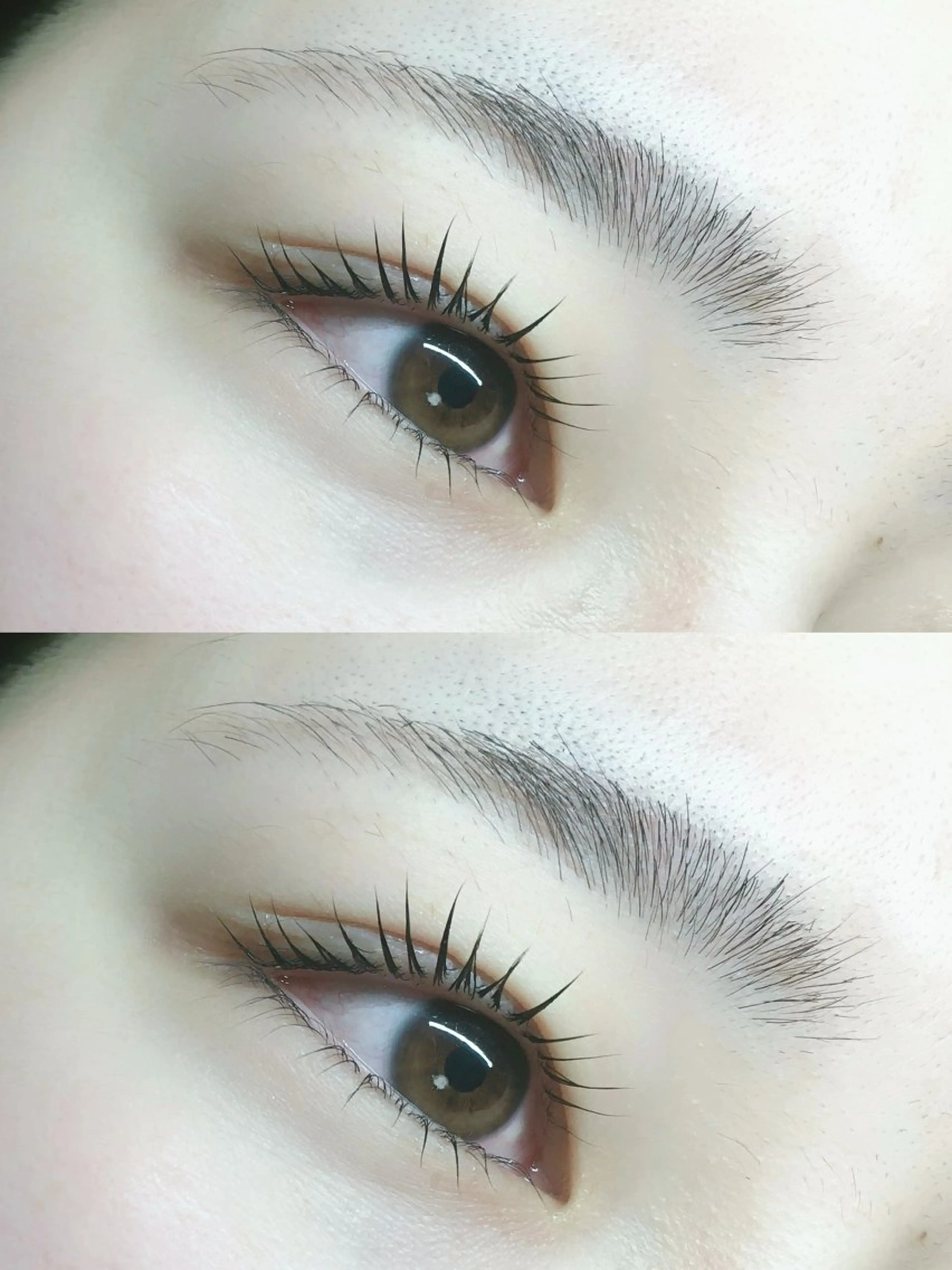 上下ラッシュリフト✨ アイシャンプー、アルカリ除去、トリートメント、美容液コーティング込み！の写真