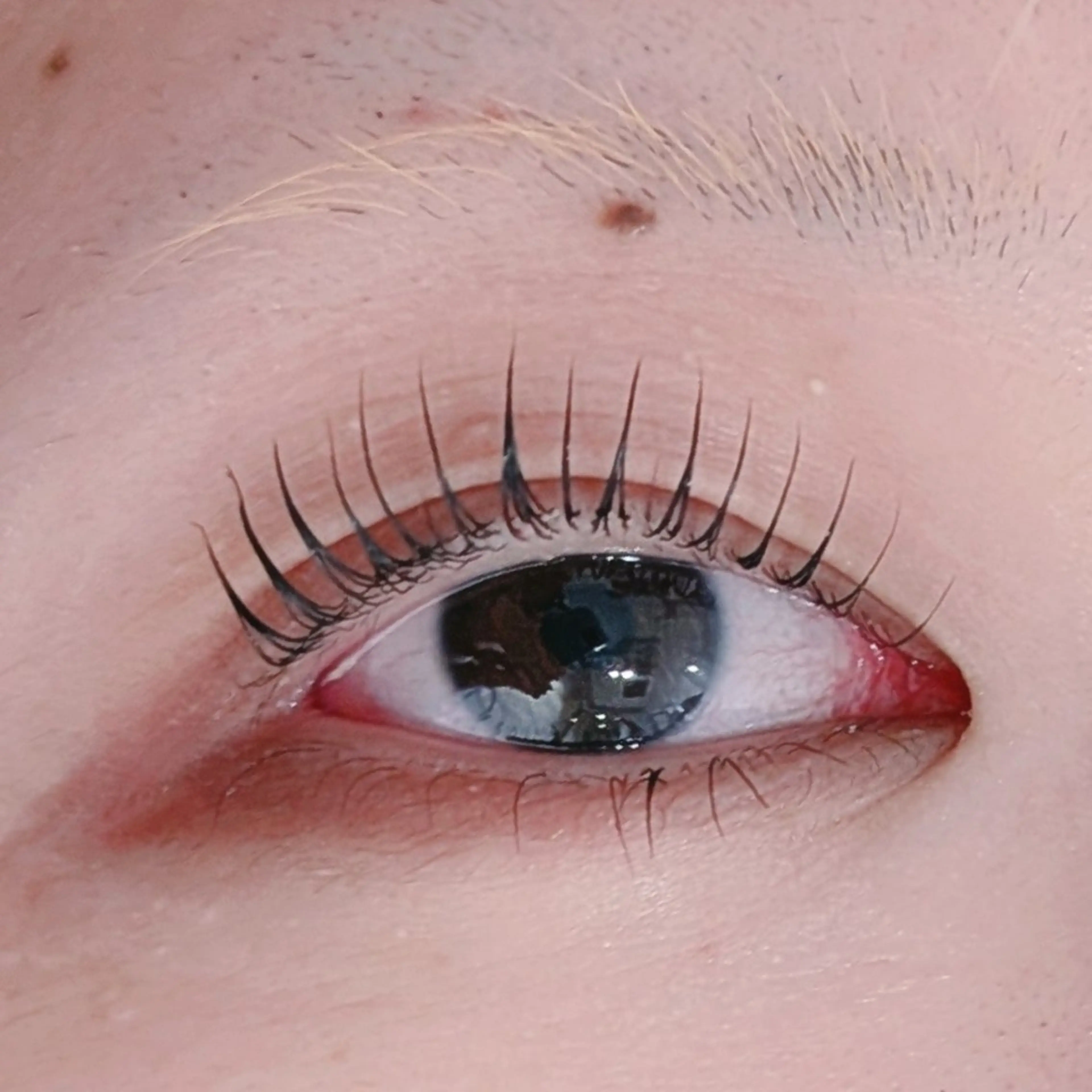 マツエク・マツパ COCO所属・✨白井駅✨COCO 🧡9月予約解放🧡のマツエク・マツパデザイン