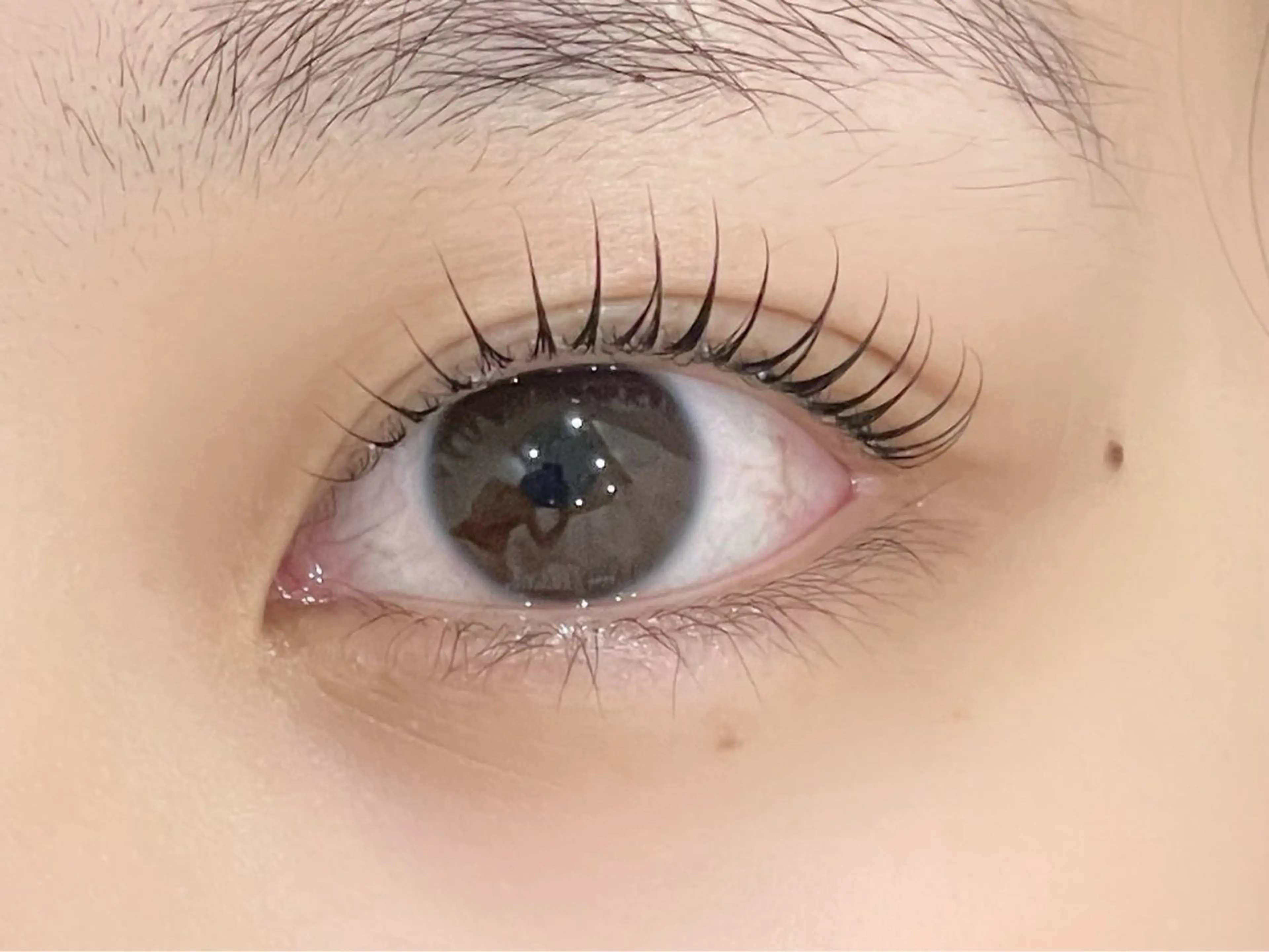 本日空き◎まつ毛パーマ👀💜の写真