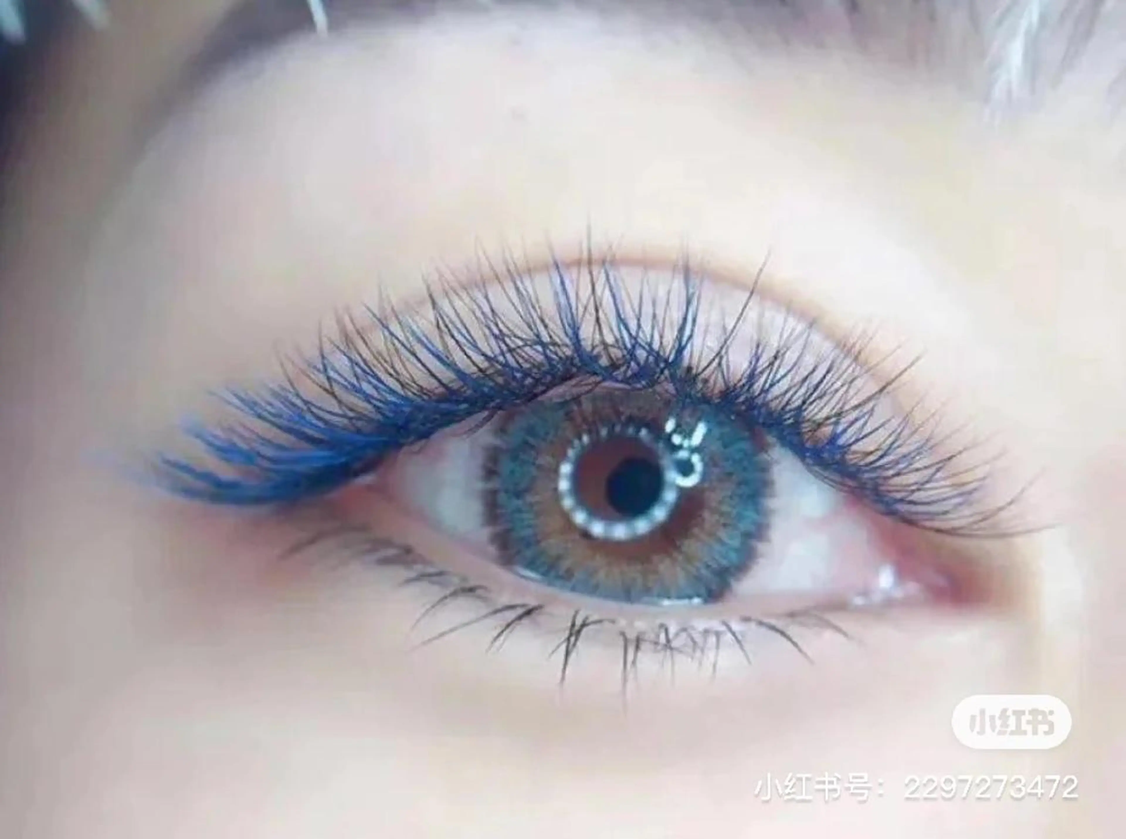 マツエク・マツパ ＫｉＲｉ 🥀　　　　   桐のマツエク・マツパデザイン