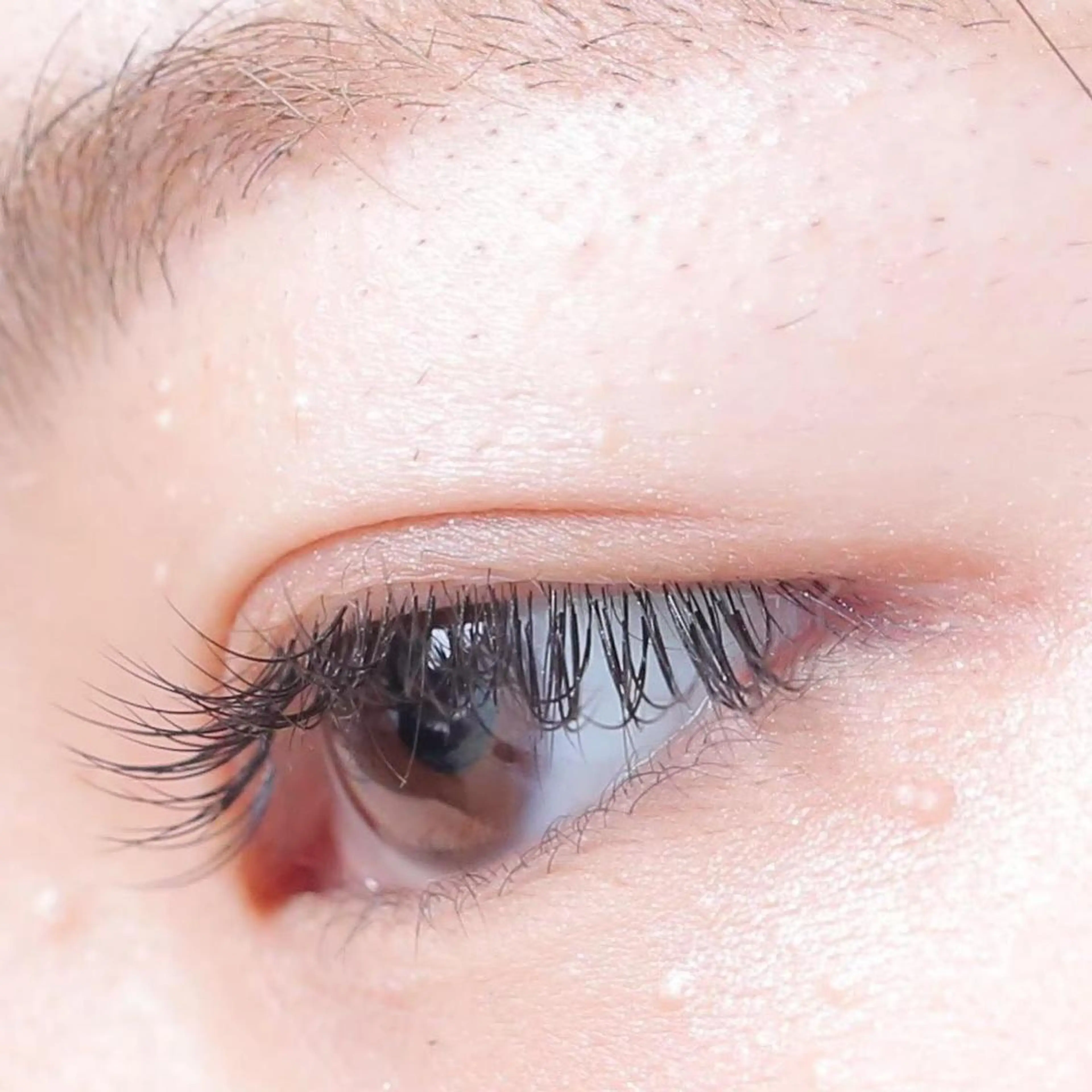 マツエク・マツパ Cカール ミンク セーブル sara 荒井店のヘアスタイル