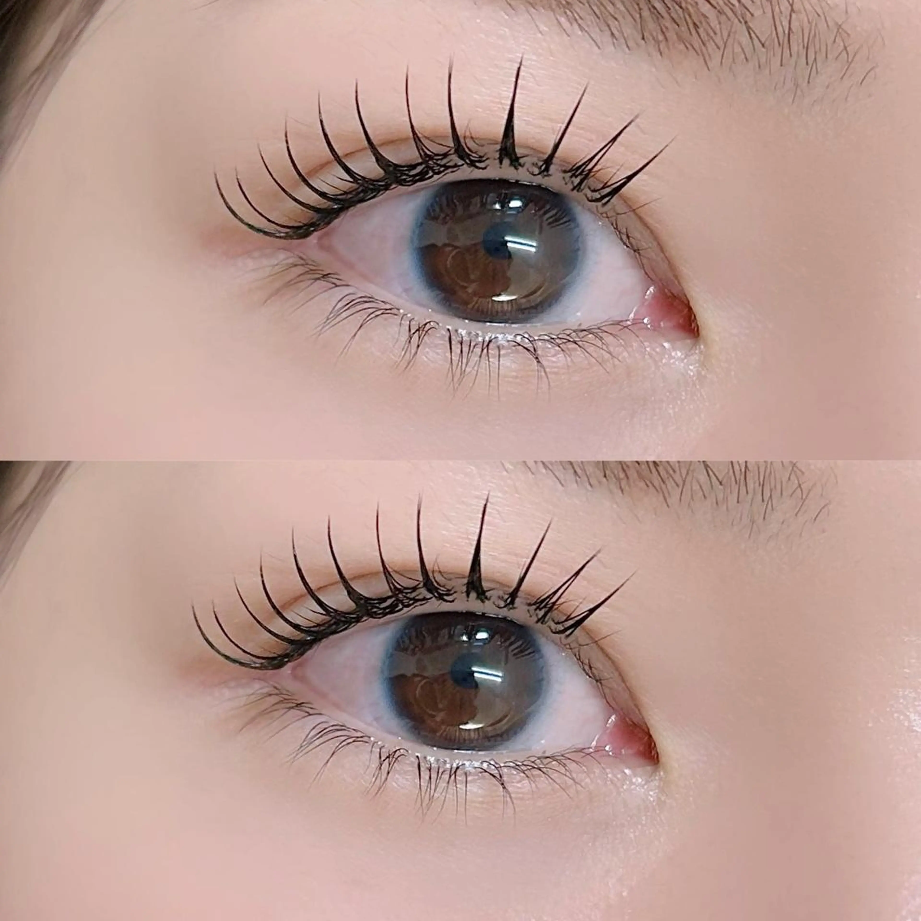 【ミニモ限定価格】フラットラッシュ120本 🎀の写真