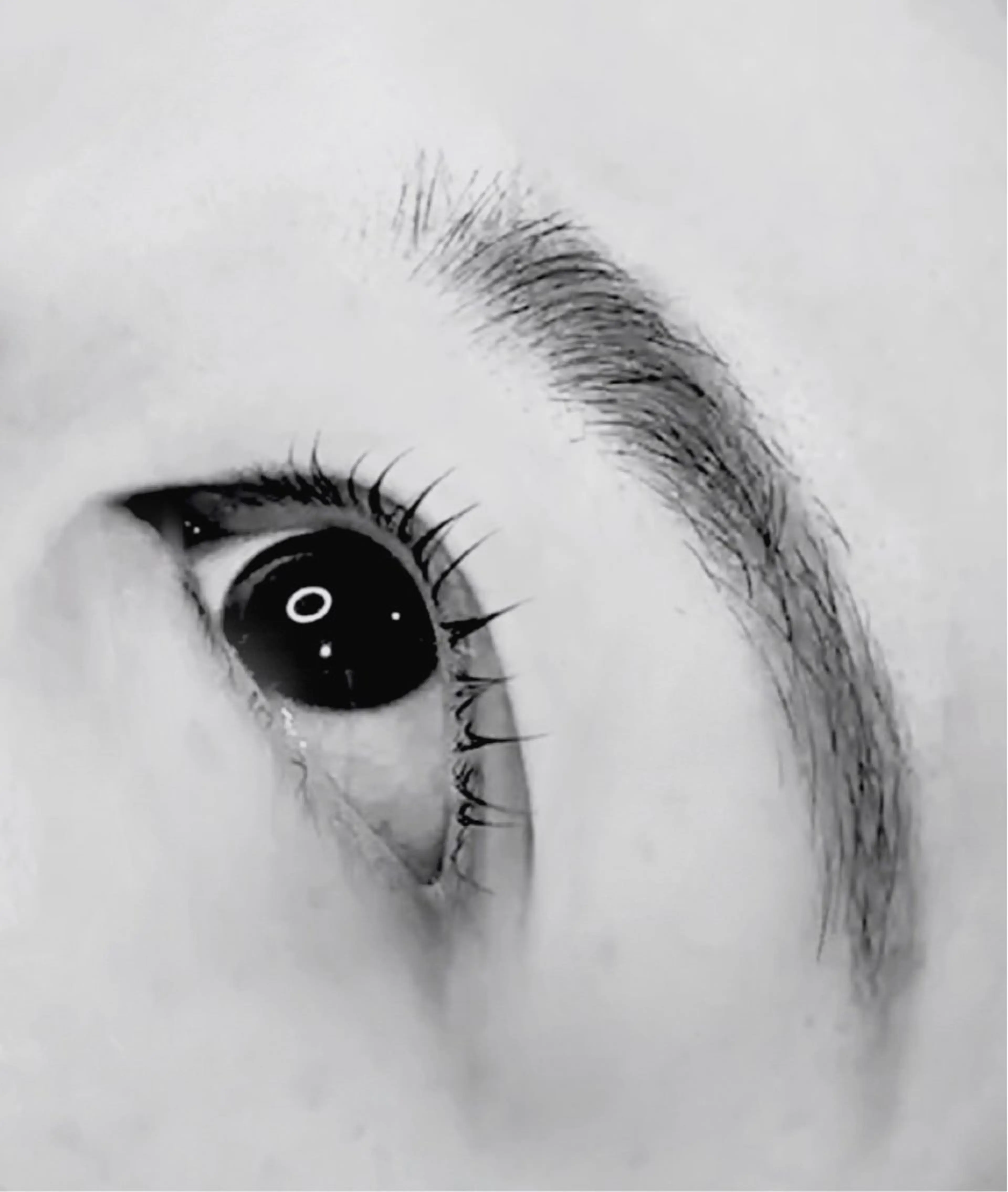 マツエク・マツパ Kamie Yusaのマツエク・マツパデザイン