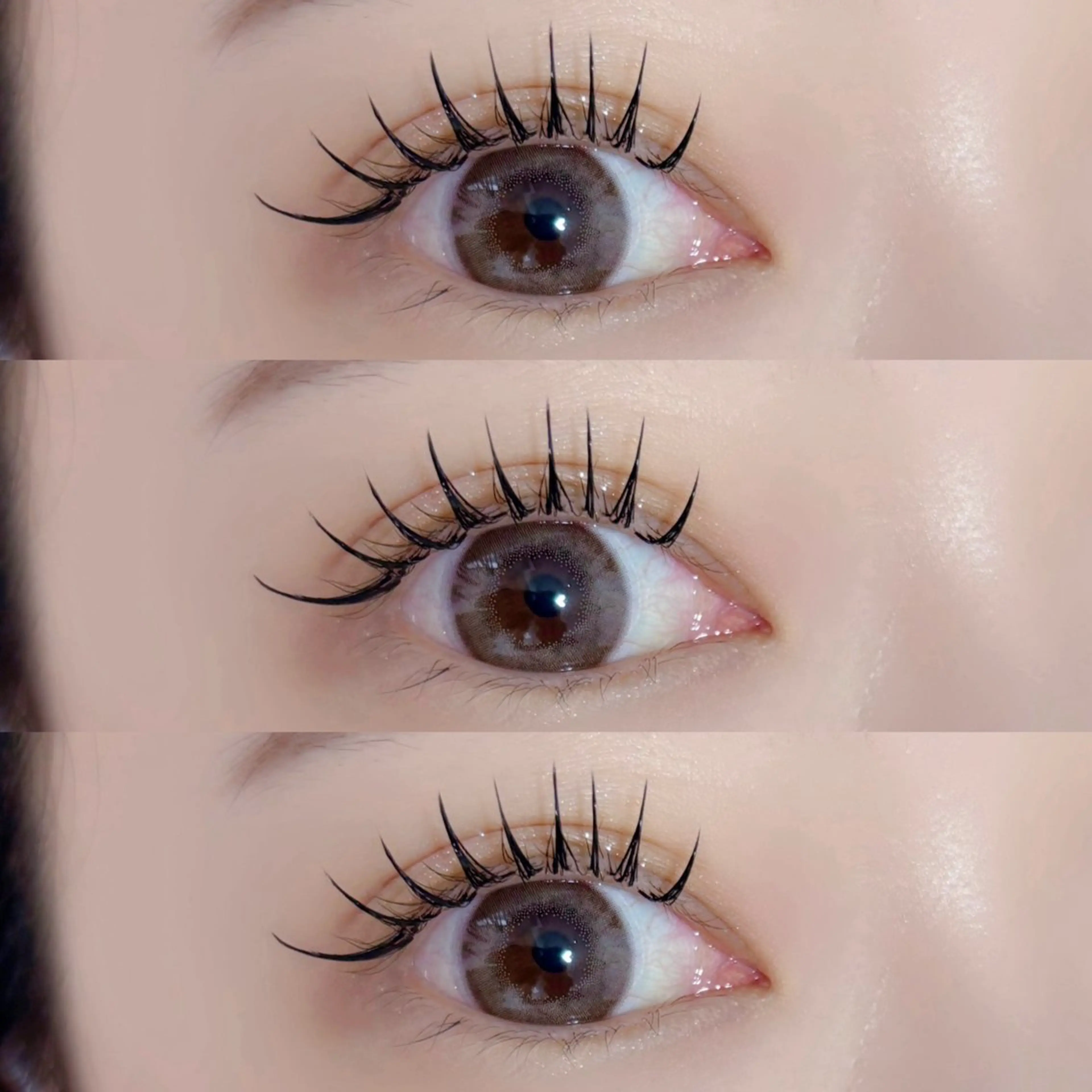 11月限定💫30%off💫オフ無料☆バインドロック60束(140本)コーティング付き☆の写真