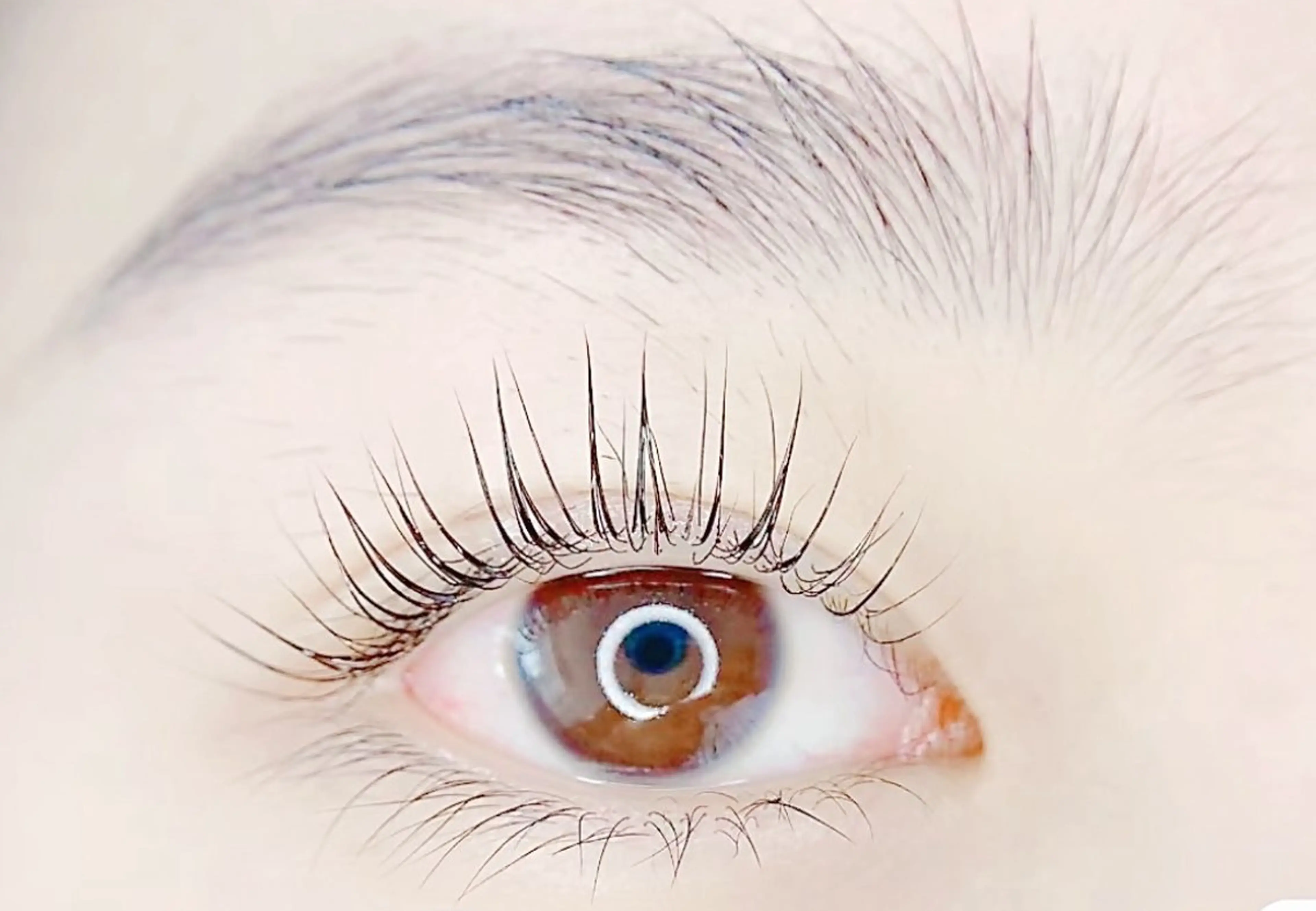 【新規★平日限定】 パリジェンヌラッシュリフト¥2980の写真