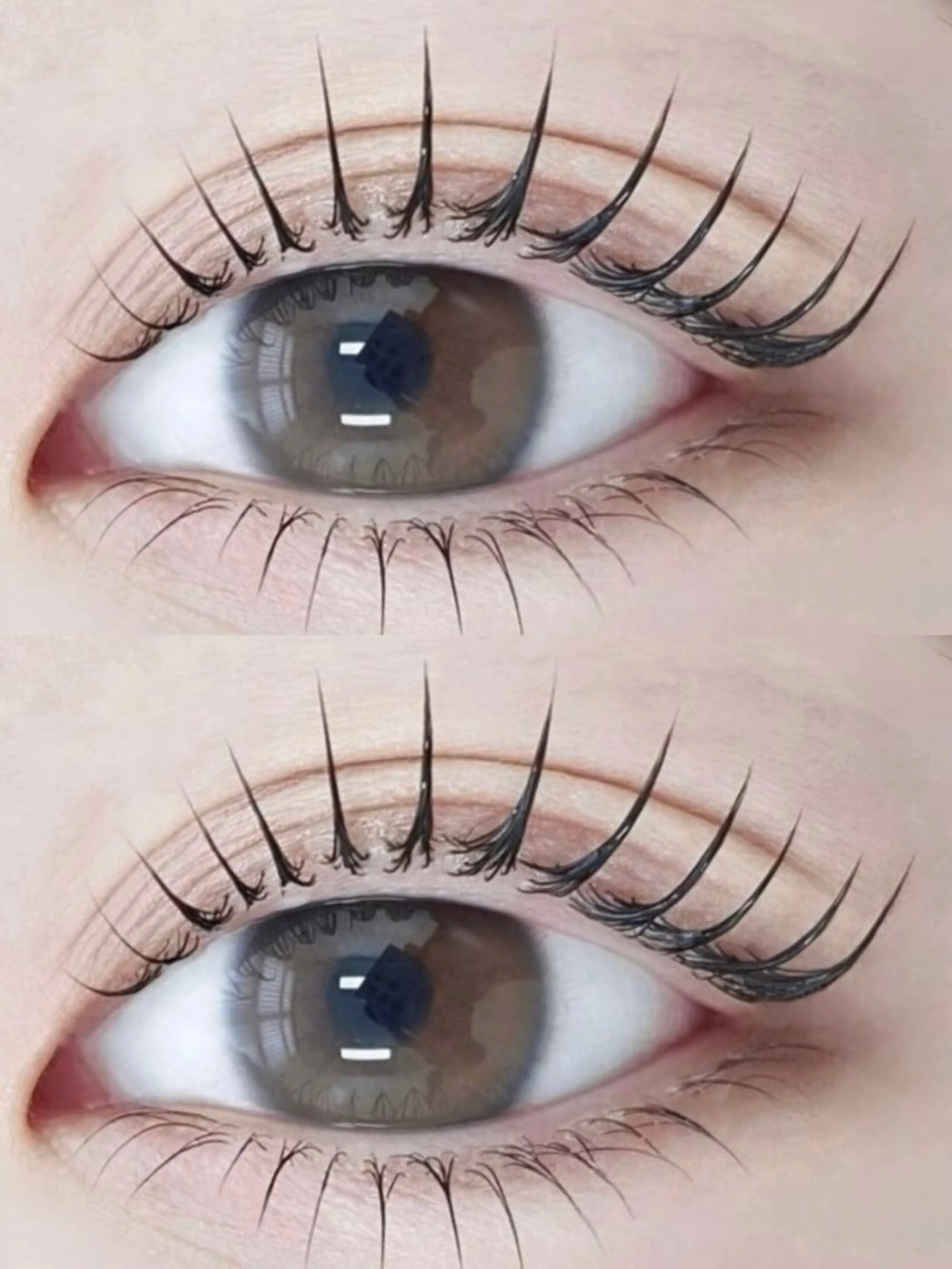 「＆Healthyヘルシー」(フラトラッシュ160本×マッパ) 「LED無料」の写真