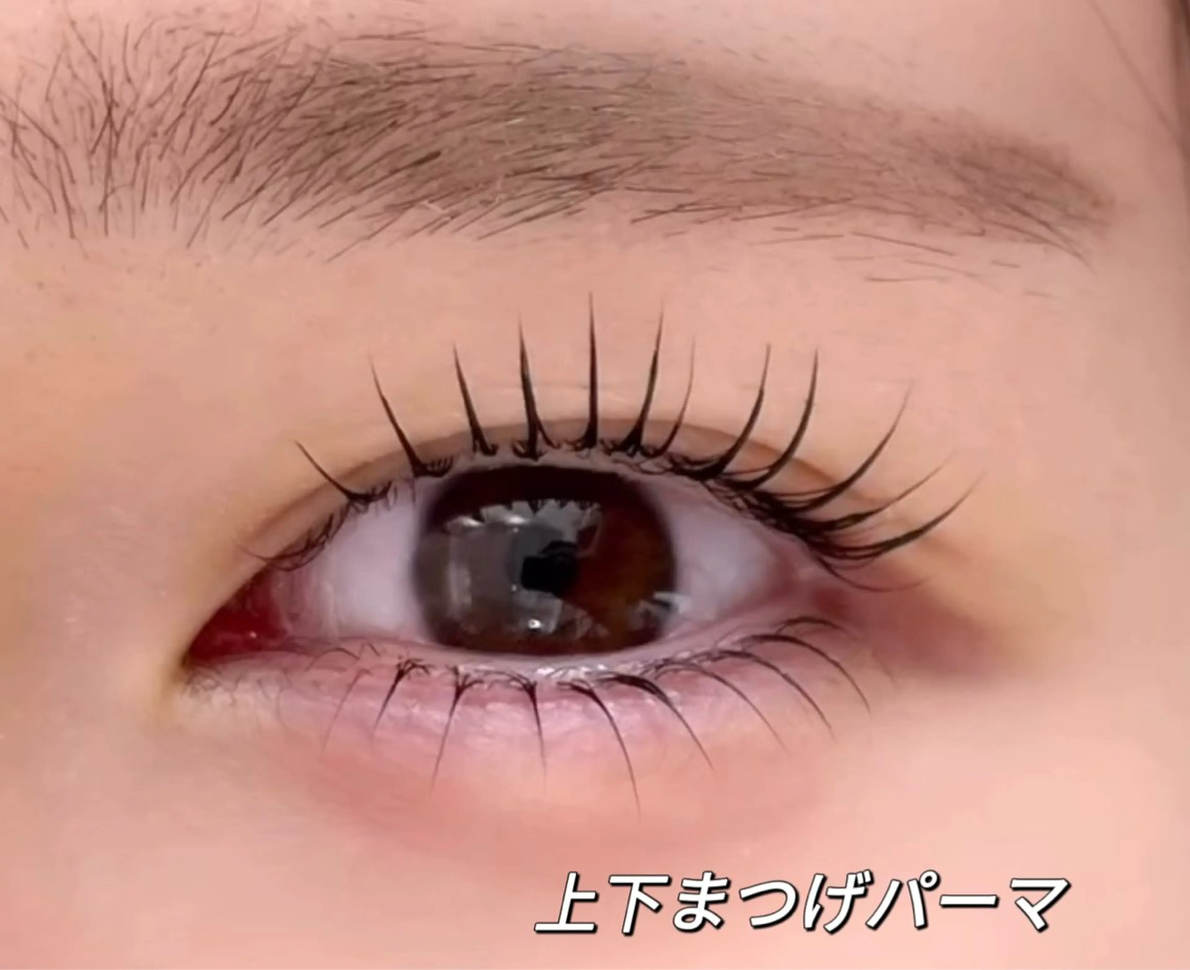 まつげパーマ🤍（パリジェンヌでも◯）上のみの写真