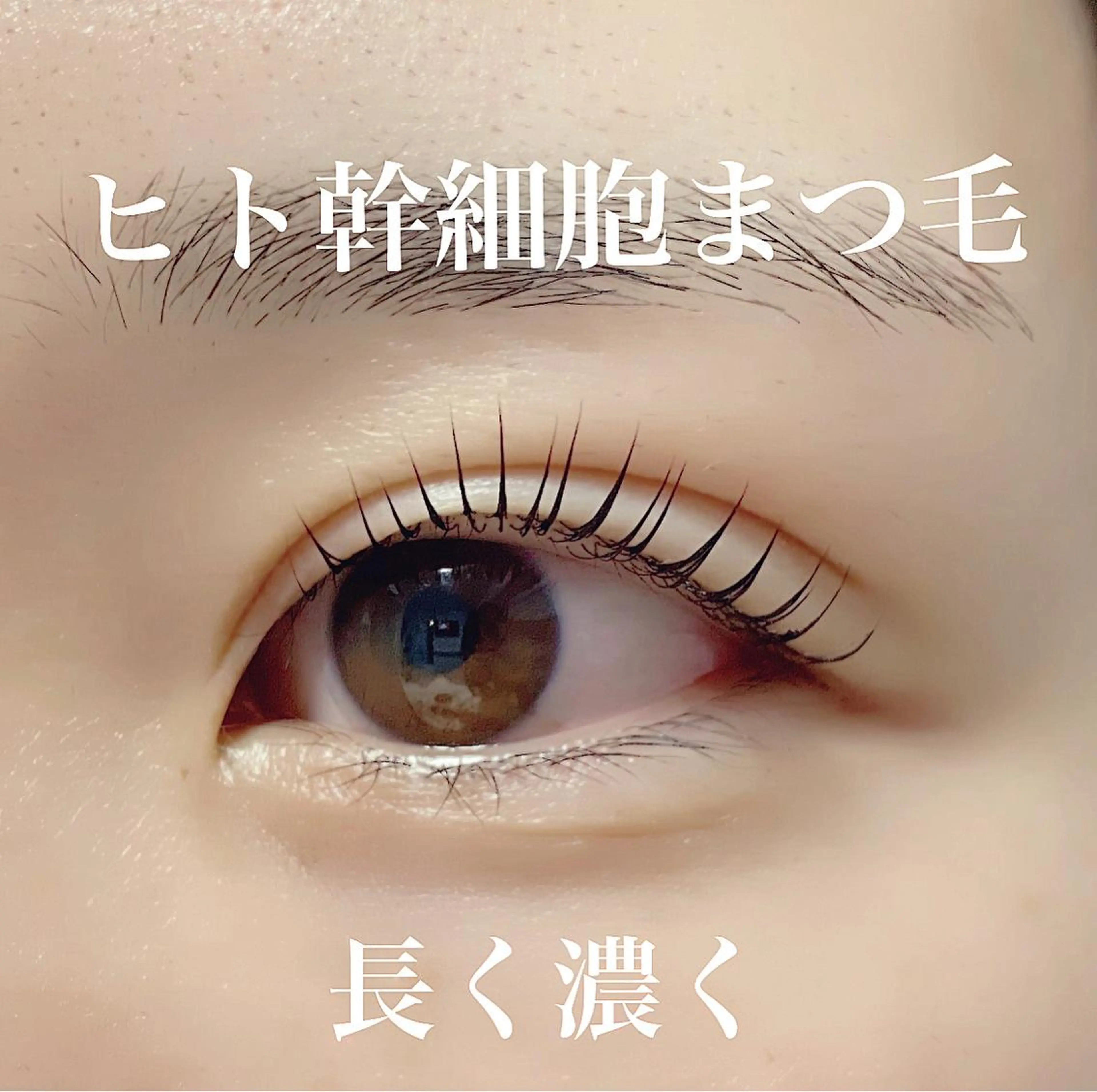 【美容液不要！！】ヒト幹細胞まつ毛パーマの写真