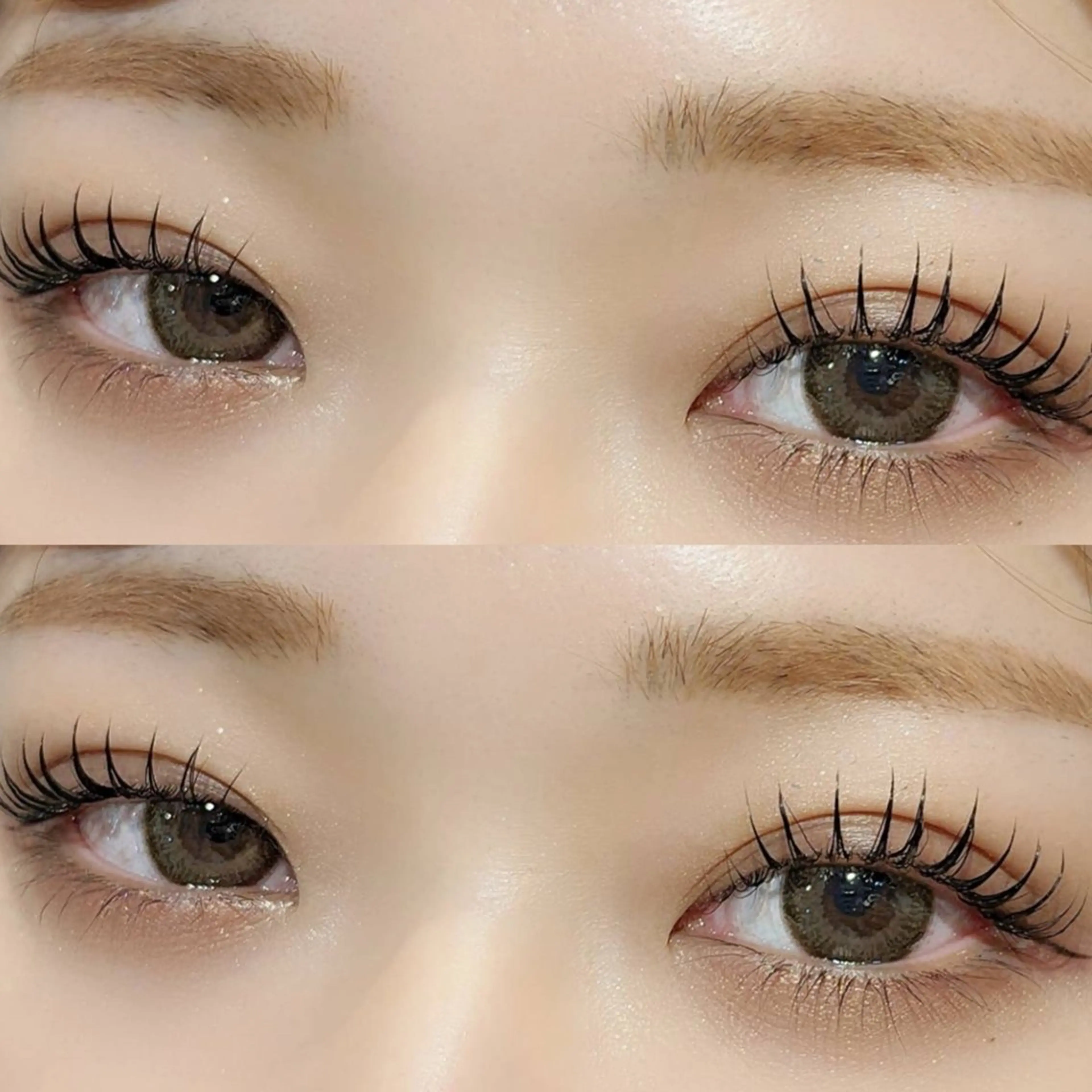 🟢【&Healthy】ダブルフラットラッシュバインドロック100束+まつげカール🌱の写真