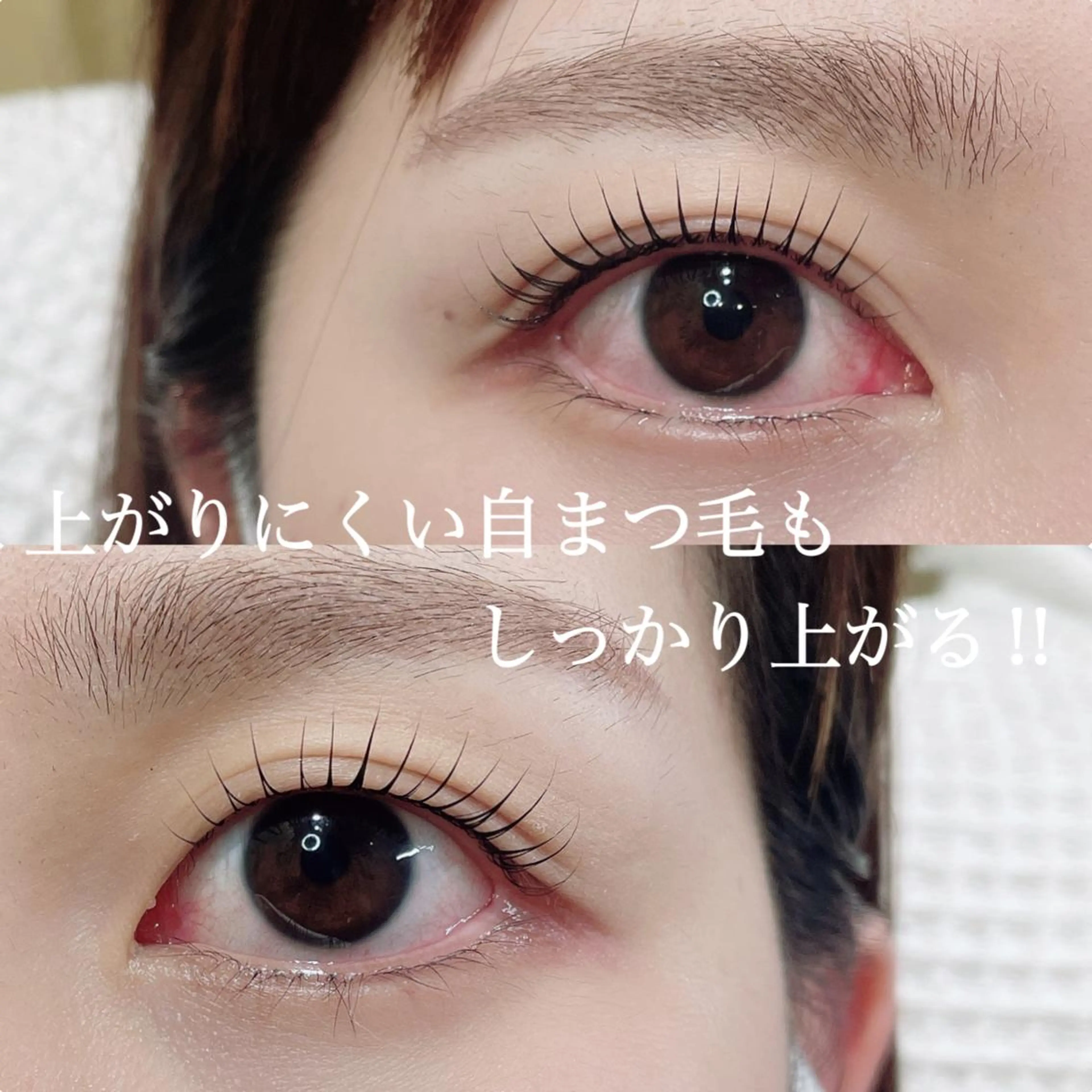 マツエク・マツパ まつげパーマ マツパ SEALA 高石店所属・SEALA 高石の眉毛・アイブロウイメージ