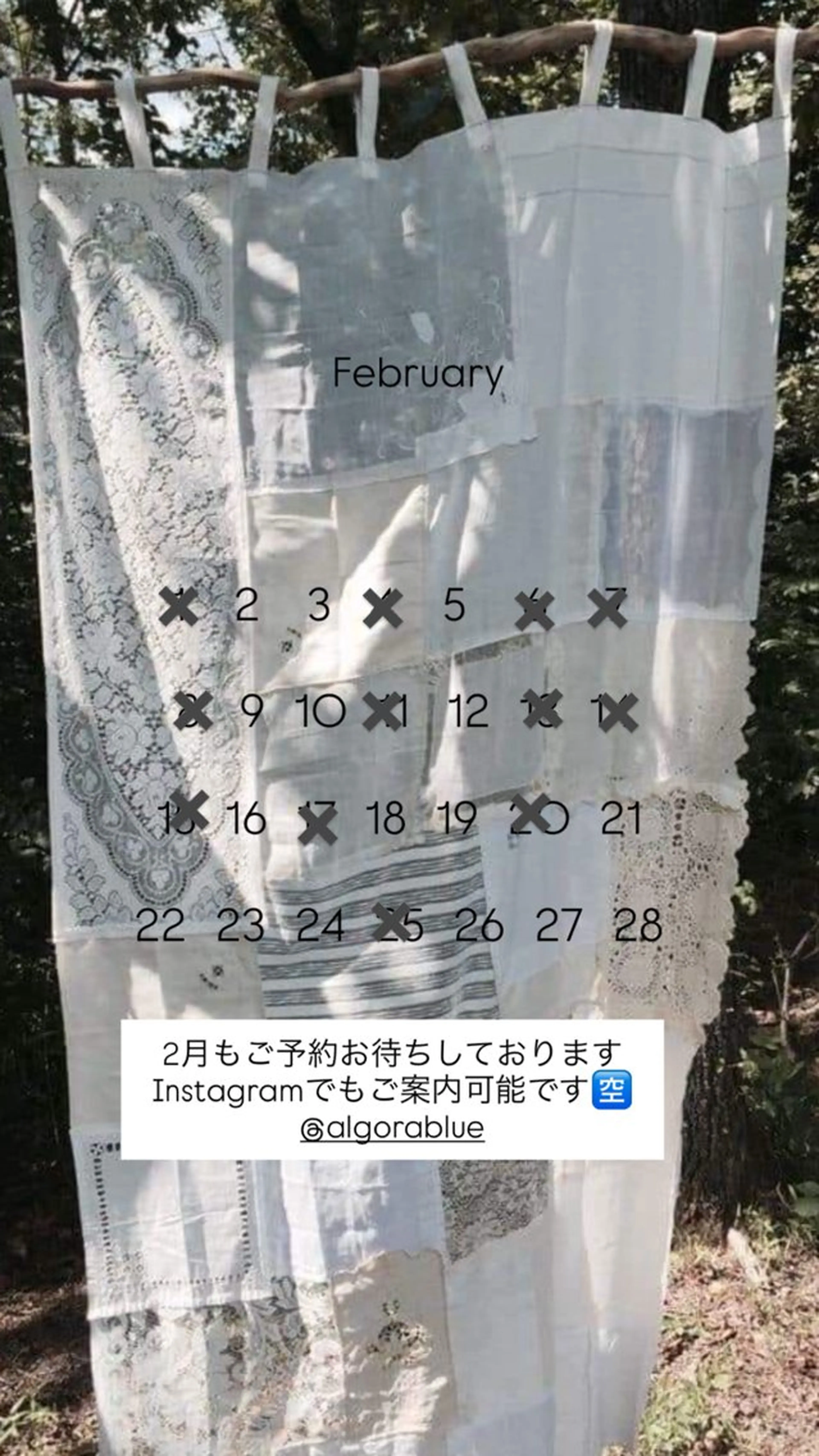 セミロング chura/ カラーモデル募集💫のヘアスタイル