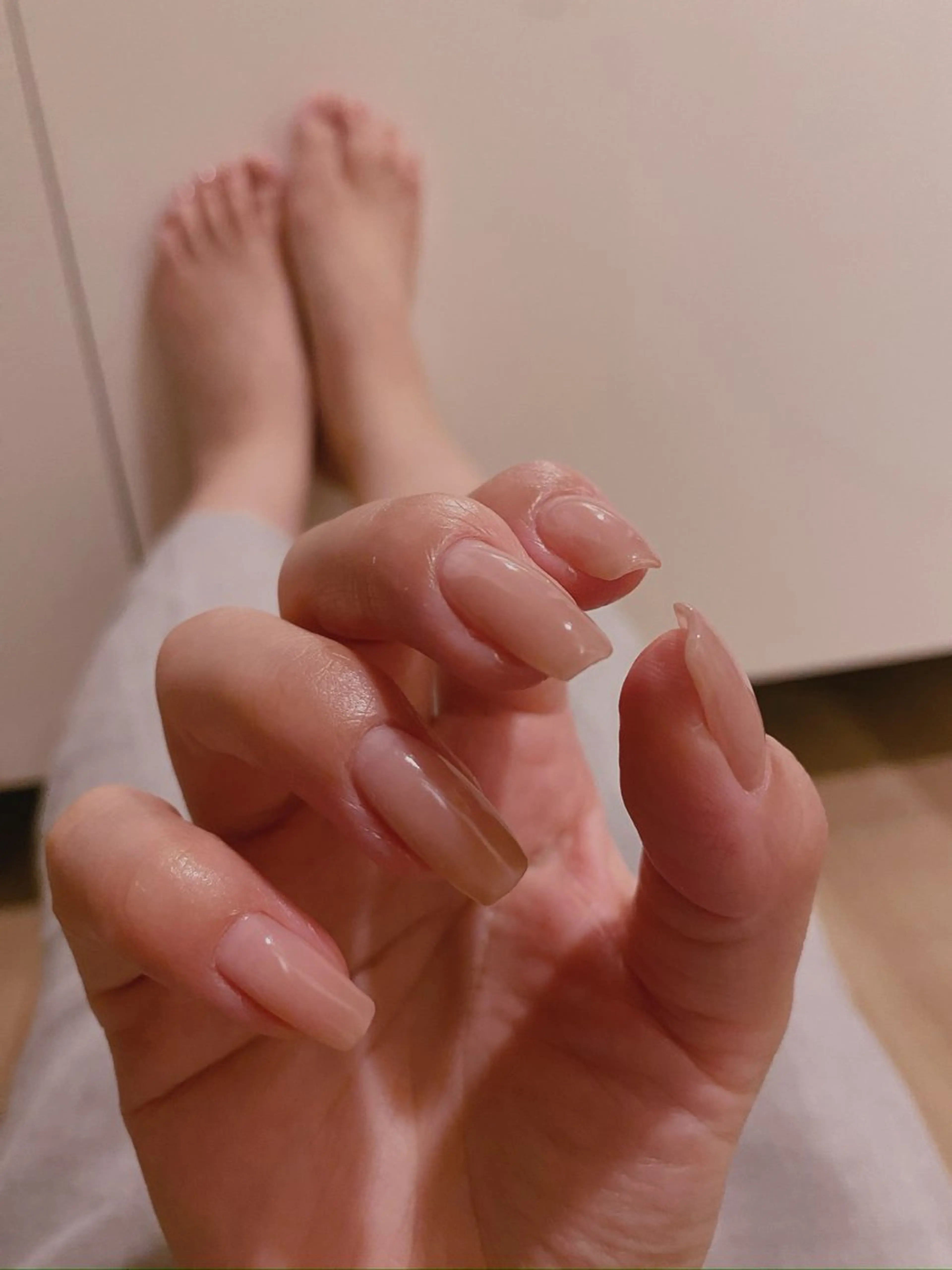 グラデーションの写真