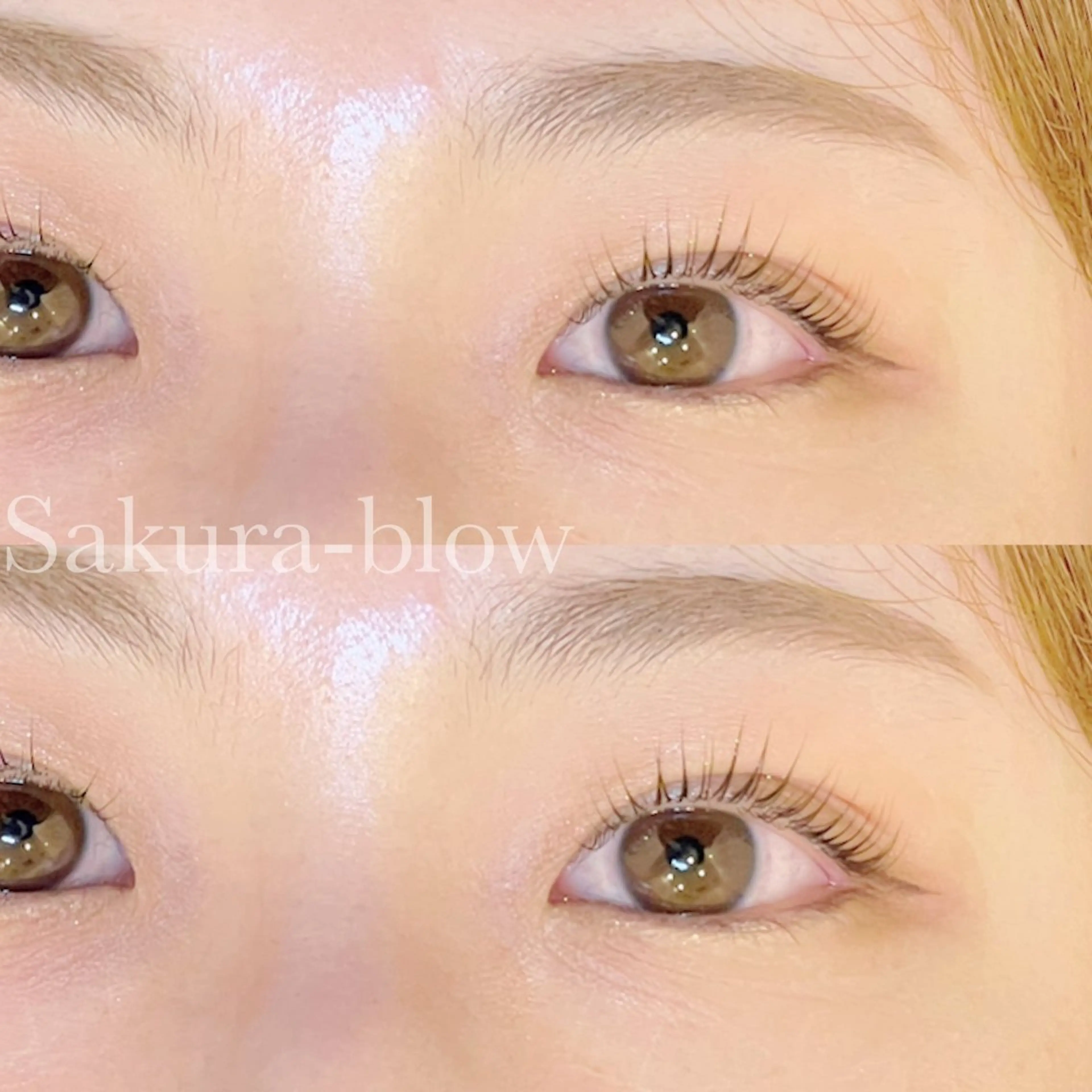 マツエク・マツパ パリジェンヌラッシュリフト Sakura-blow梅田店所属・Sakurablow 大槻のマツエク・マツパデザイン